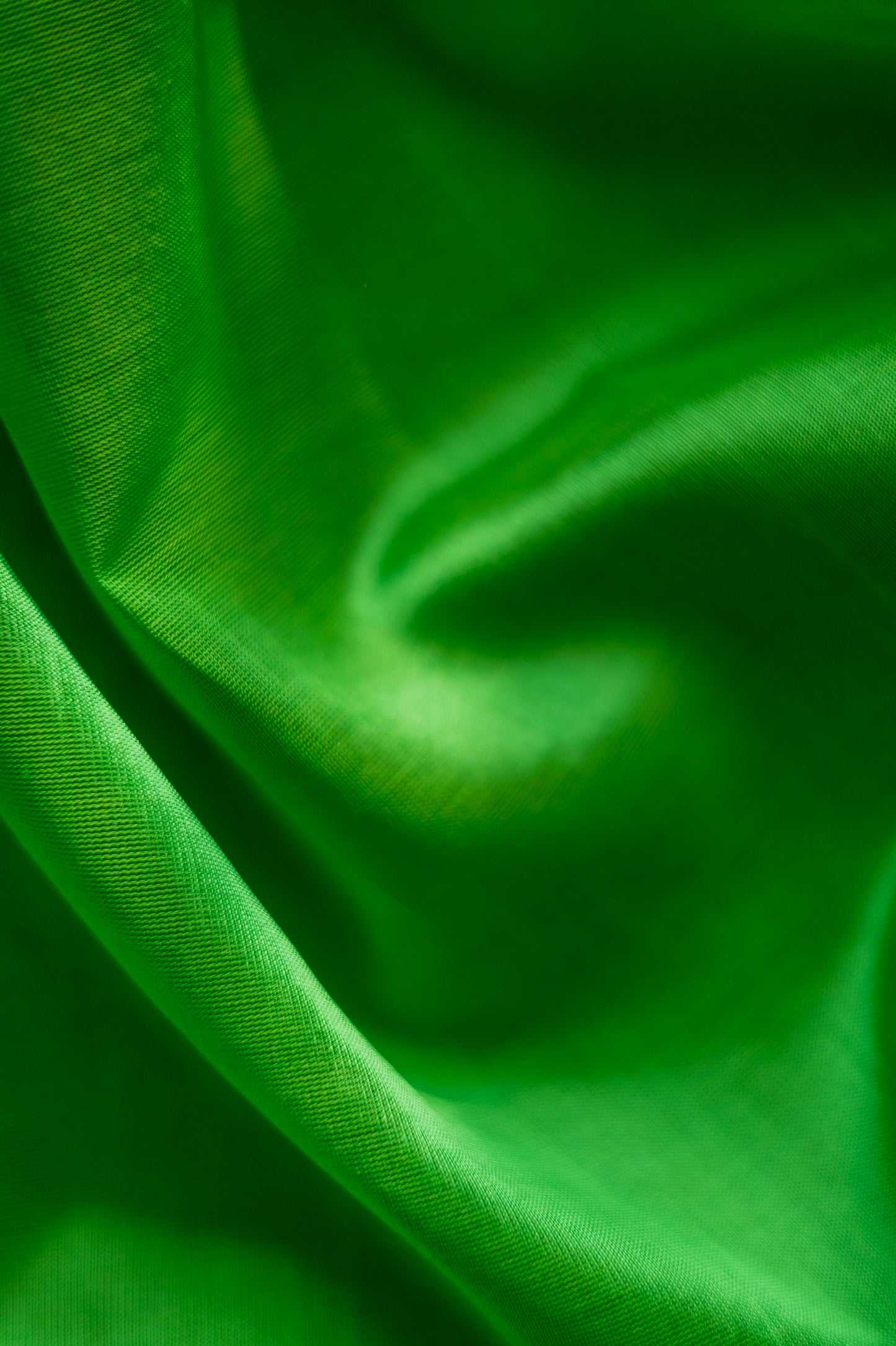 Green Silk Cotton with Traditional Purple Border Saree