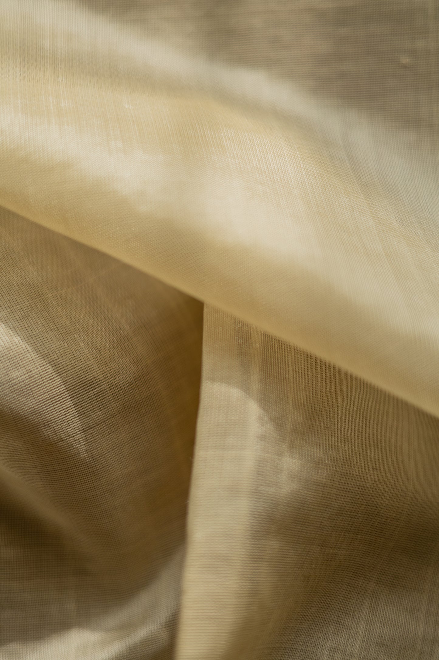 Off White Silk Cotton with Traditional Gold Zari Border Saree