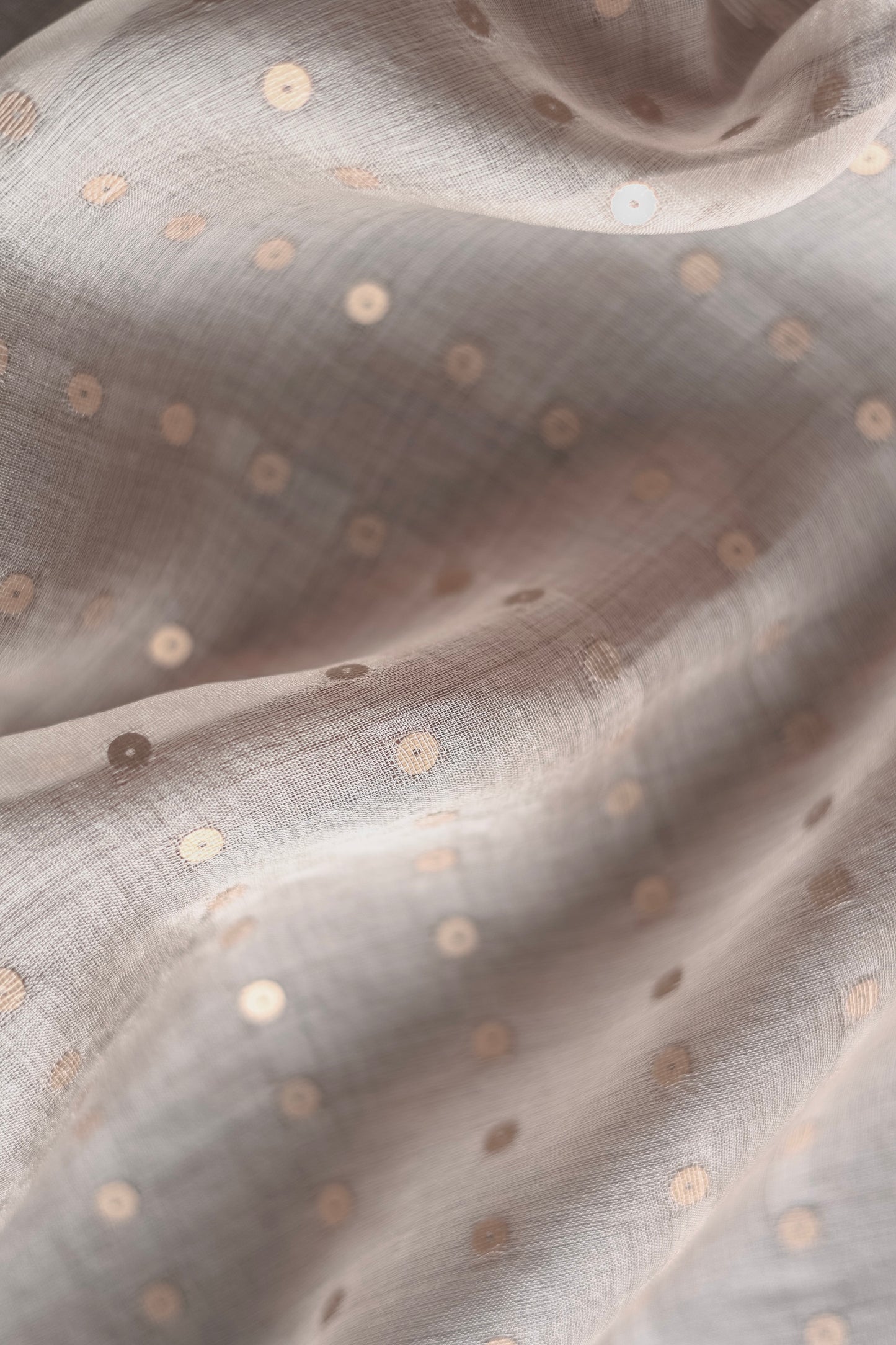 Beige Organza Silk Cotton Saree with Silver & Gold Sequins