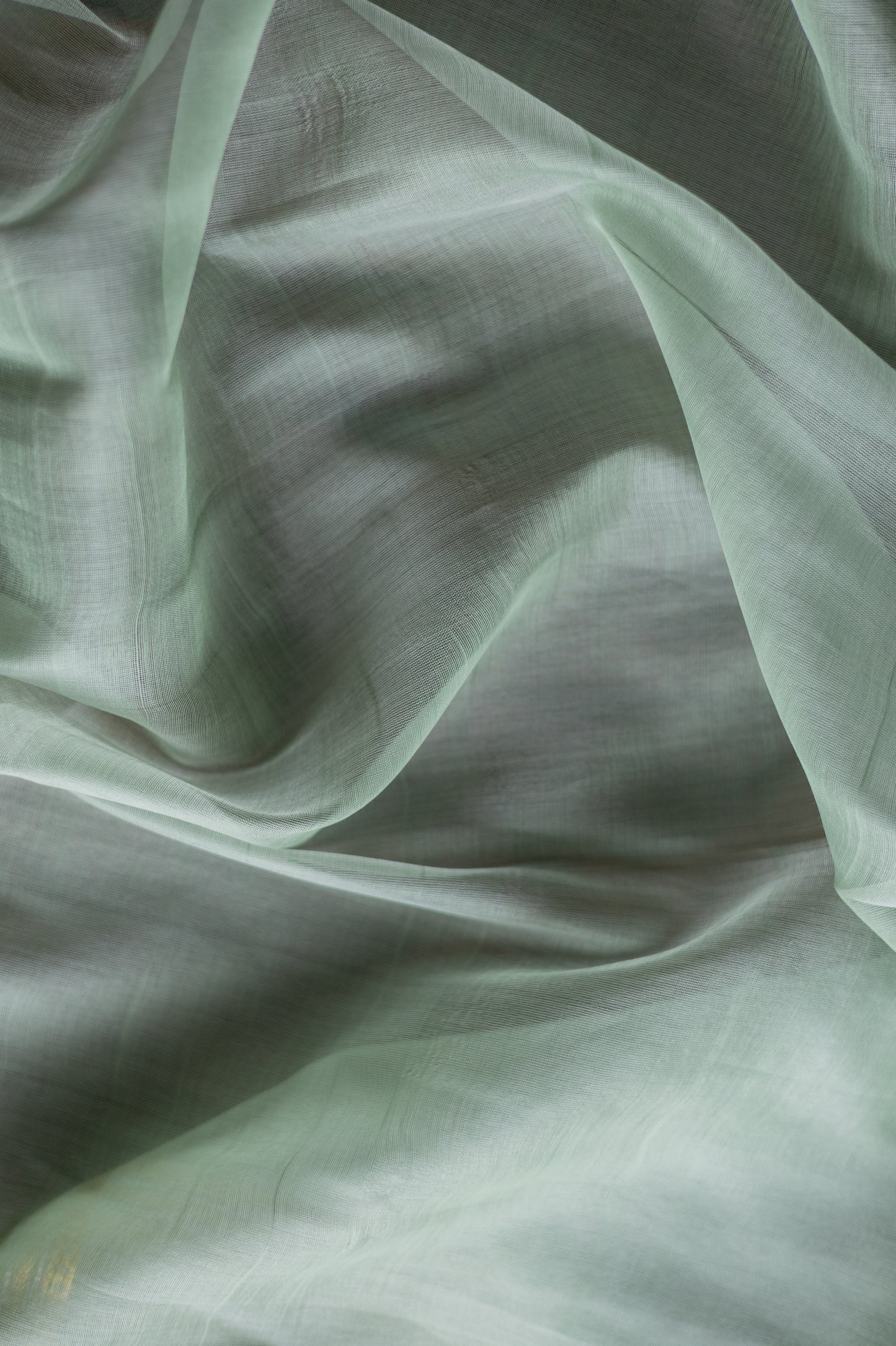 Sea Green Silk Cotton Plain Body Zari Doby Border Saree