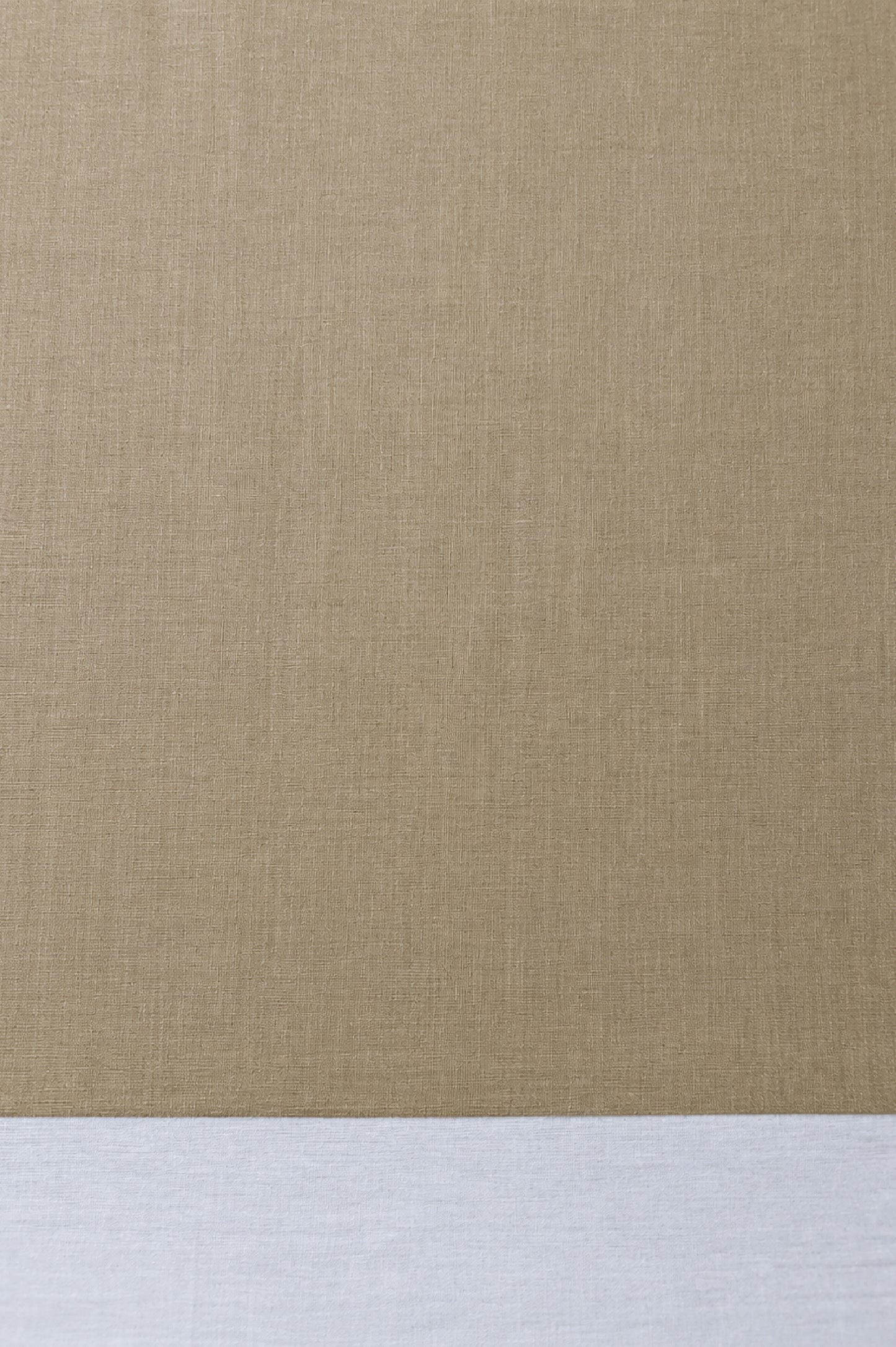 Gold Tissue Silk Saree with White Mercerised Cotton Border