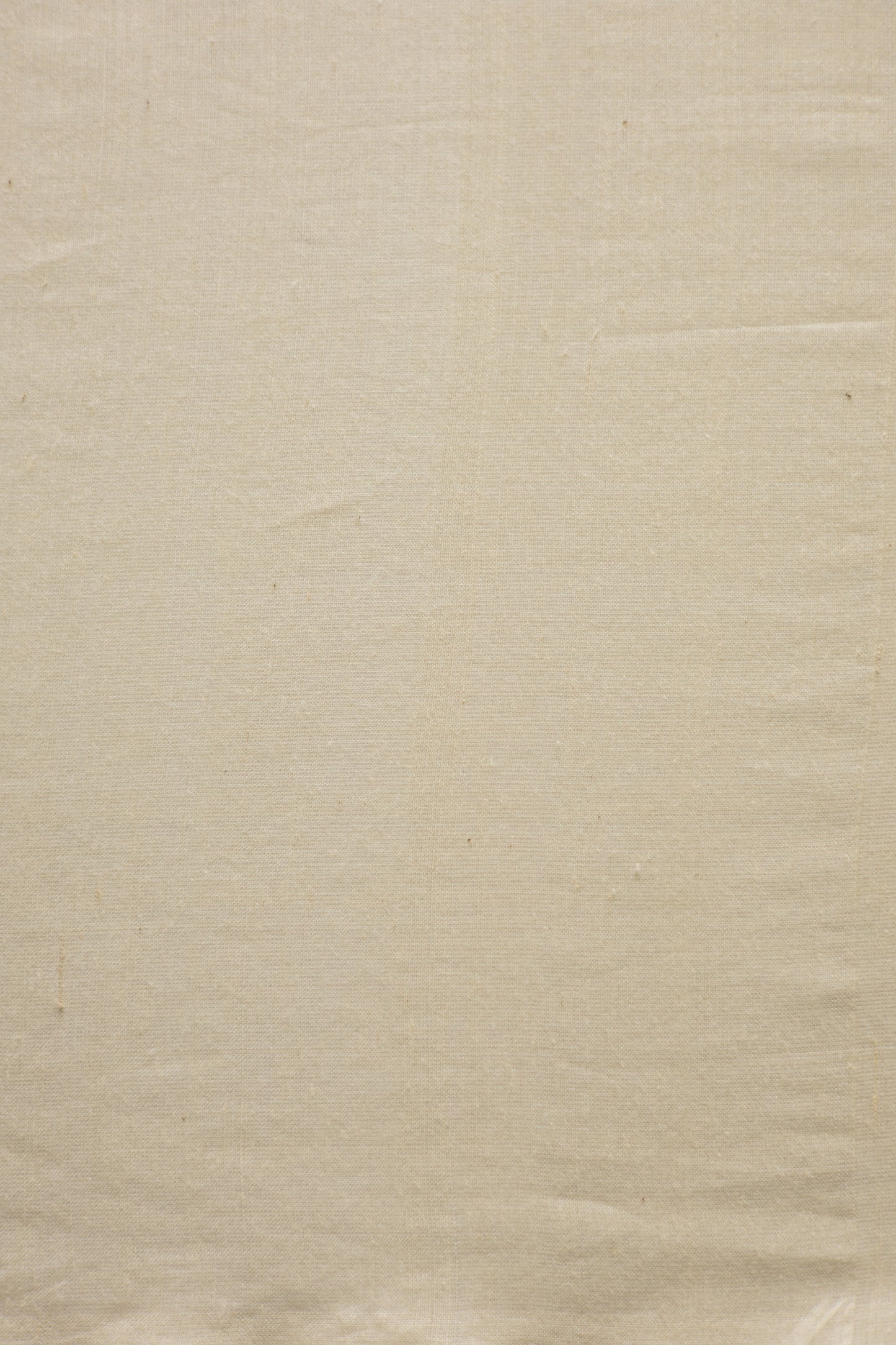 Off White Tussar Handspun with Black Border and Polka Motif Saree