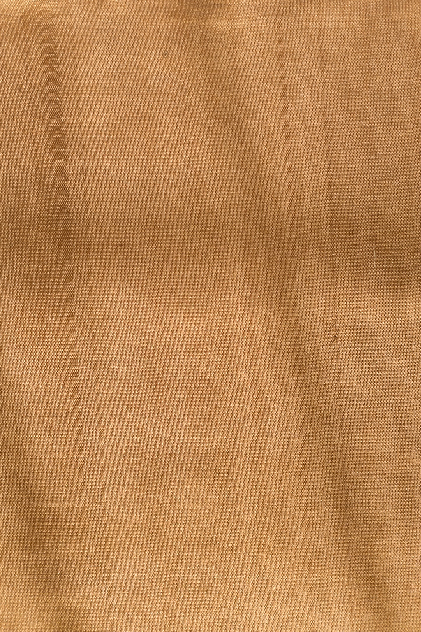 Light Brown Komarapalayam Silk with Rudraksham Motif Saree