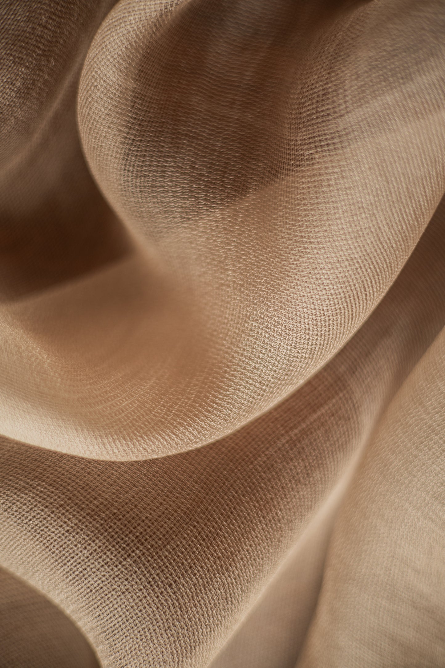 Beige Leno Silk Organza Saree