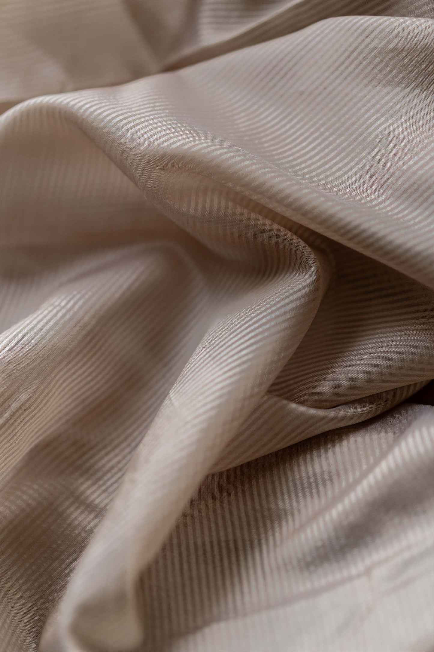 Gold Beige with Rassa Border Silk Cotton Saree