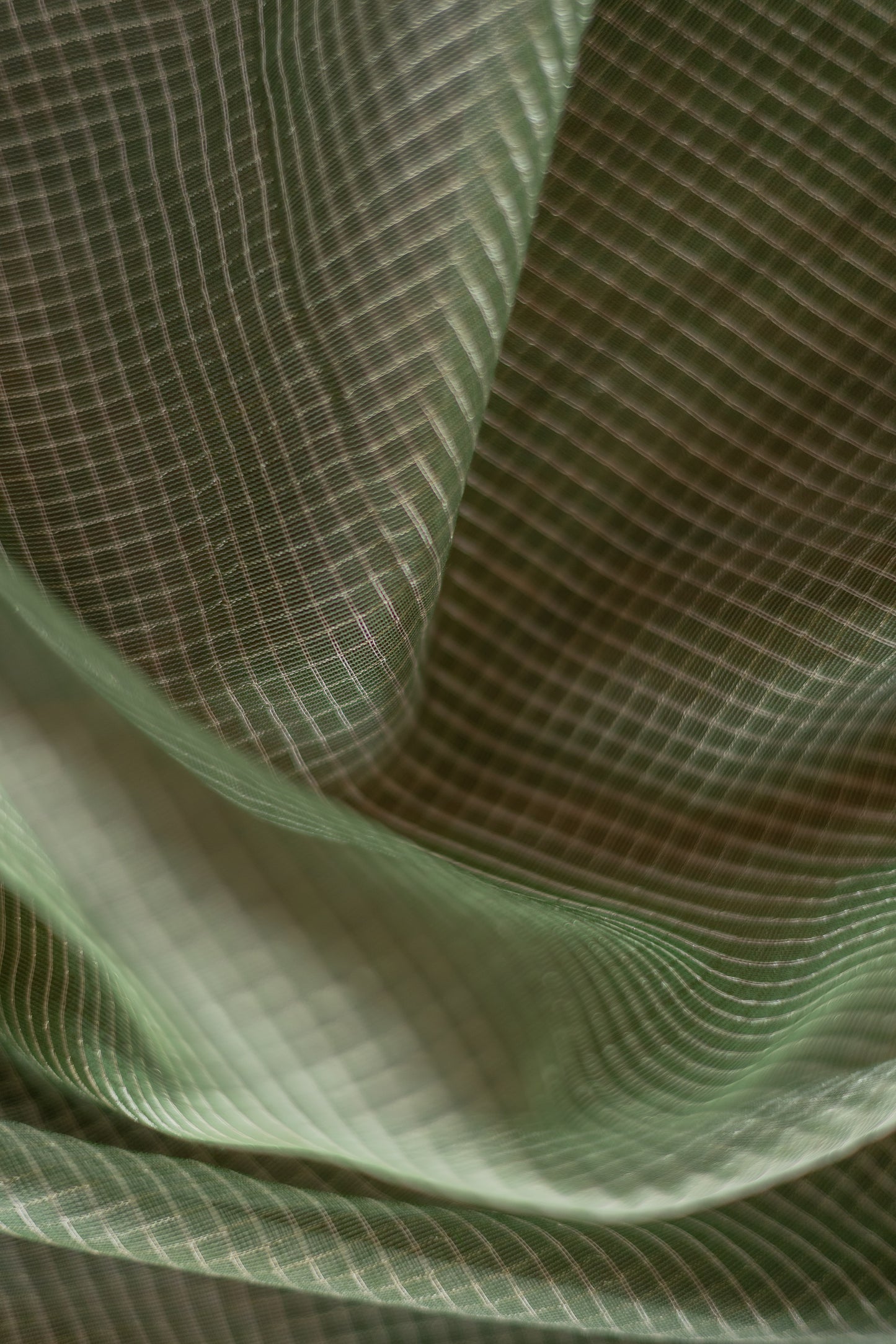 Green Silk Cotton with All Over Silver Small Checks and Striped Pallu Saree