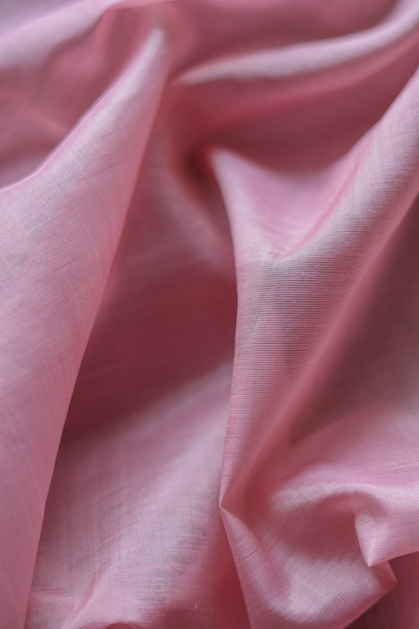 Pink and Blue Border Silk Cotton Saree