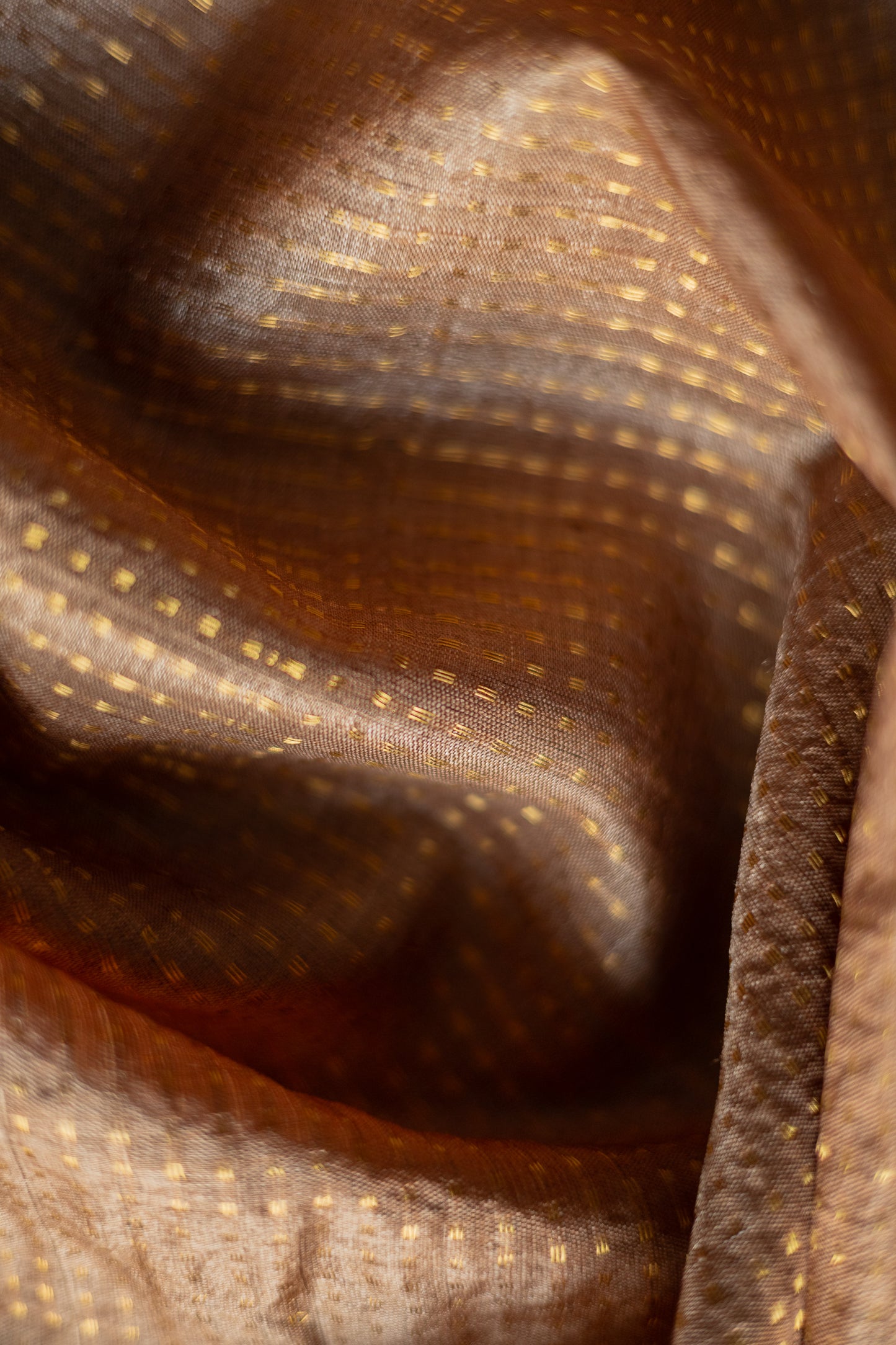 Brown Tussar with All Over Gold Zari and Round Motif Pallu Saree