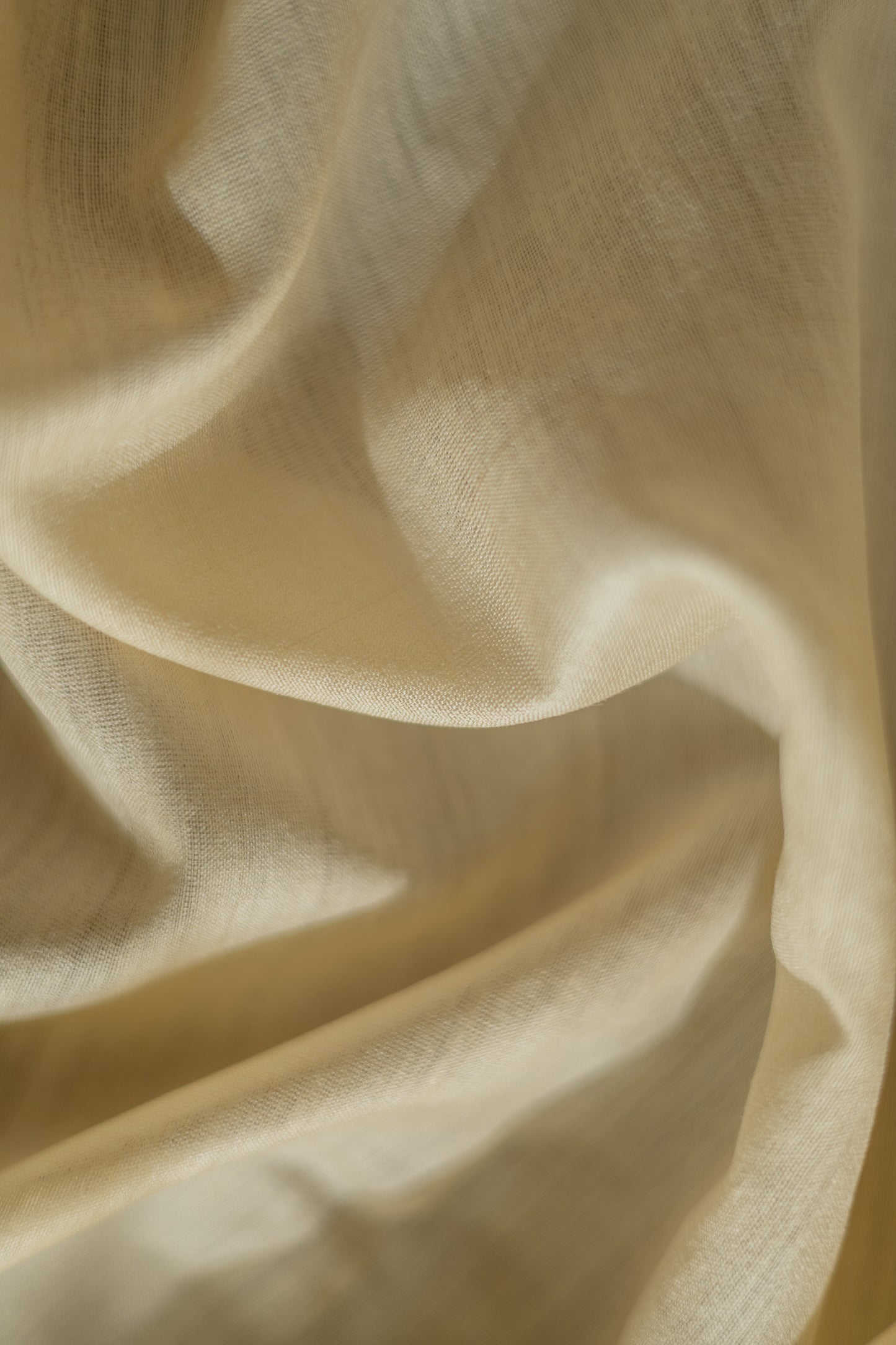 Off White Tussar Muga with Gold and Silver Border Saree