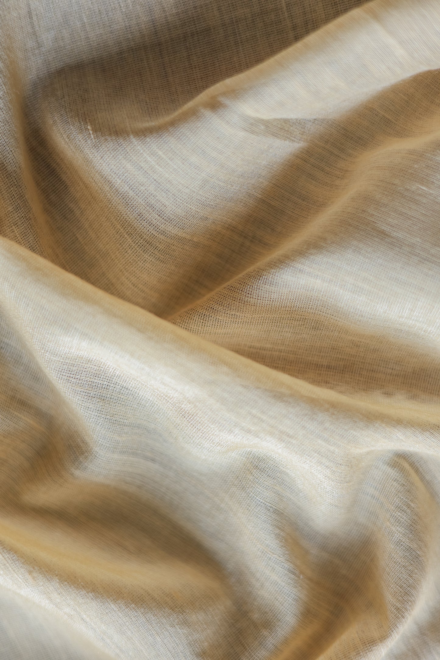 Off White Tussar Muga with Gold Border Saree