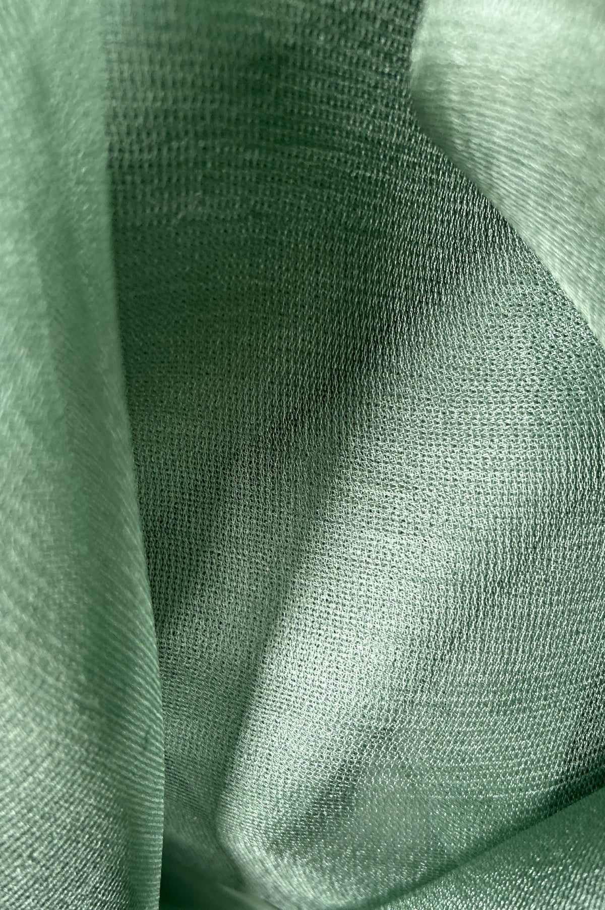 Jade Green Leno Silk Organza Saree