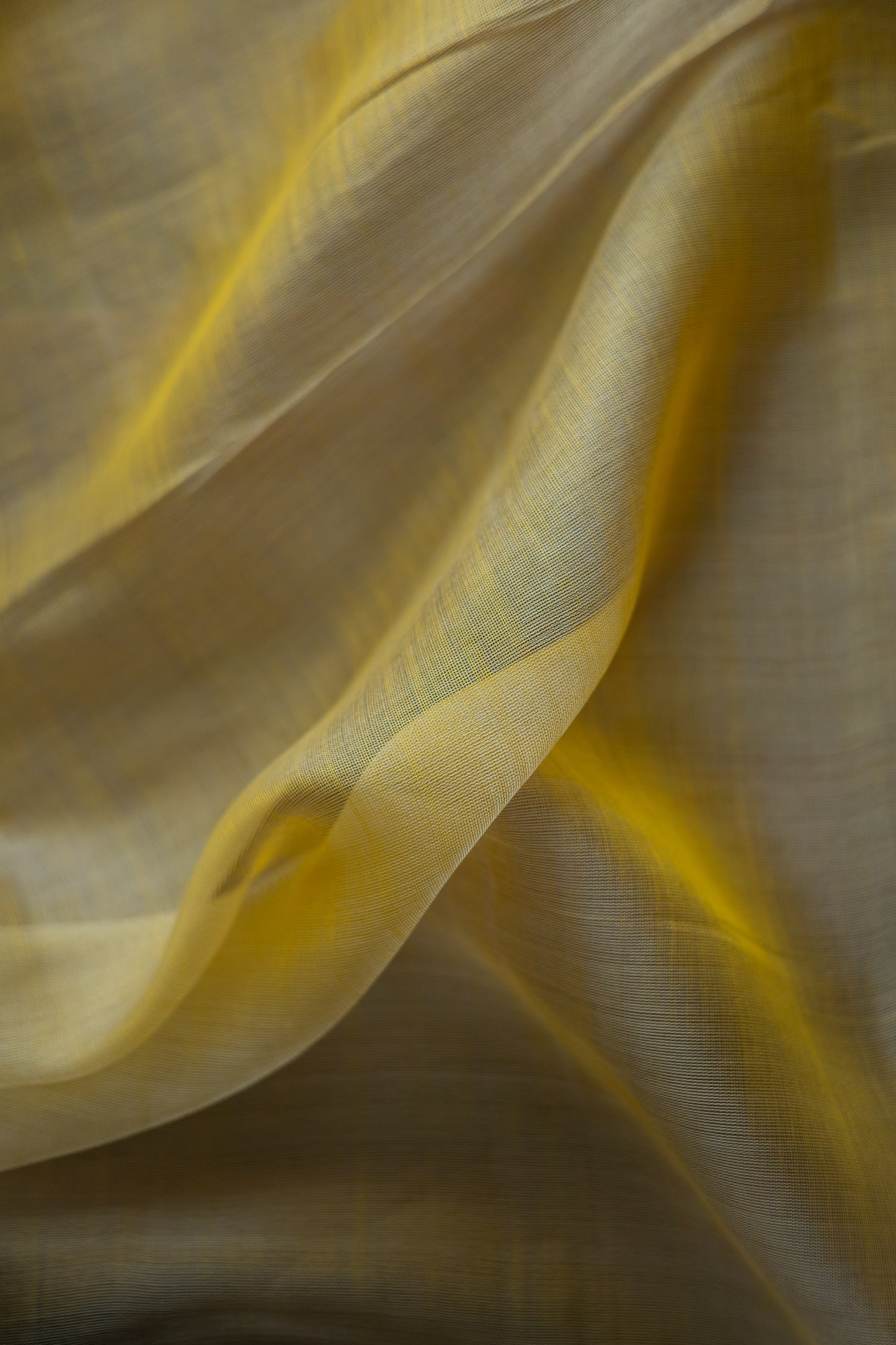 Mustard Yellow Silk Cotton Plain Body with Silver Motif Saree