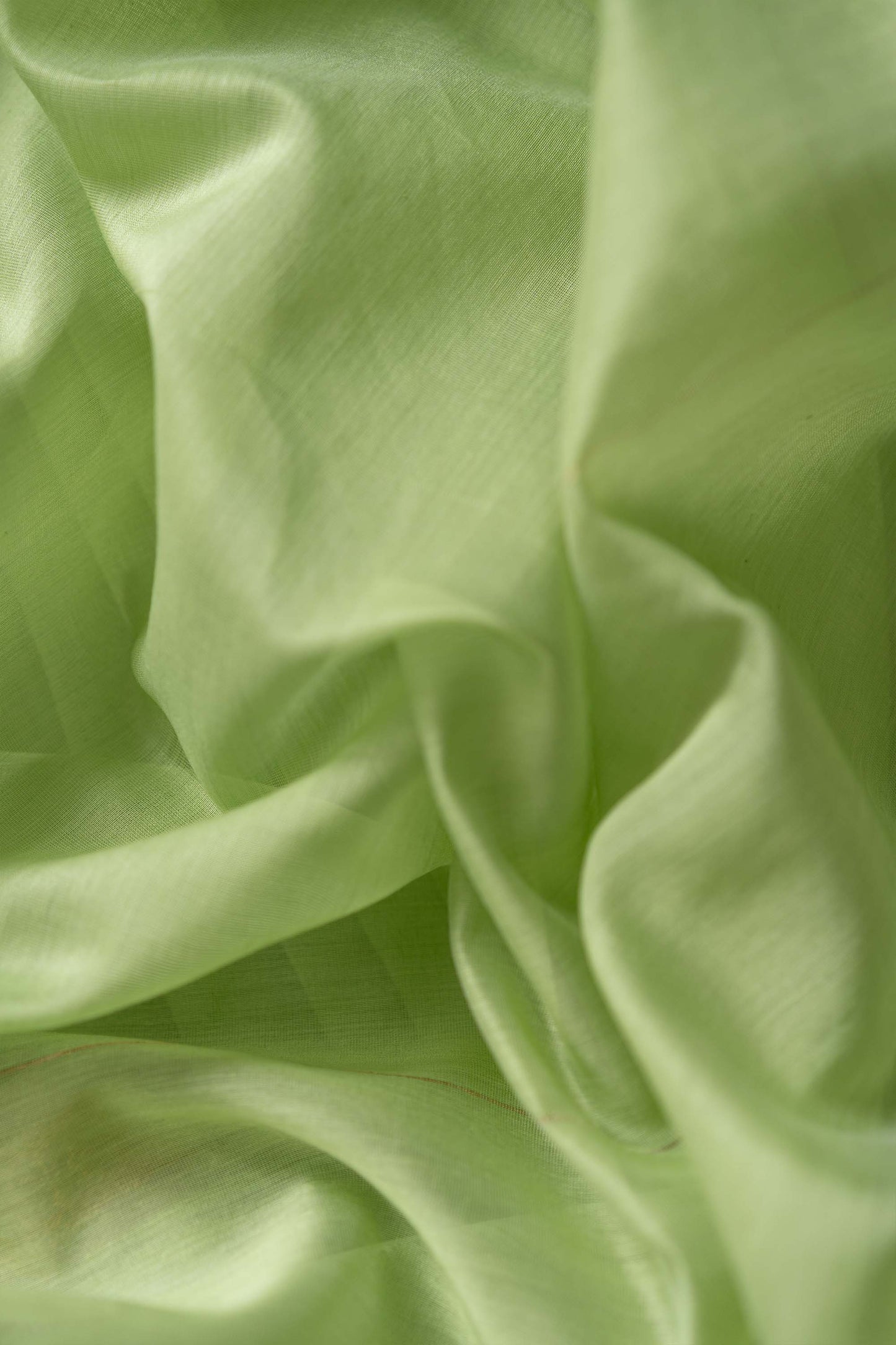 Light Green Silk Cotton with Zari Dobby Border Saree