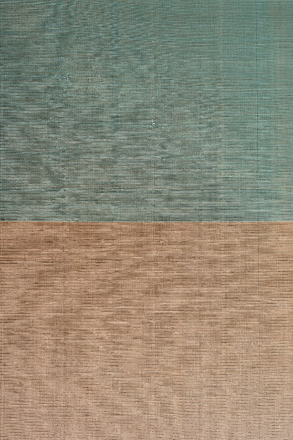 Seafoam Green with Beige Border Mangalagiri Silk Cotton Saree
