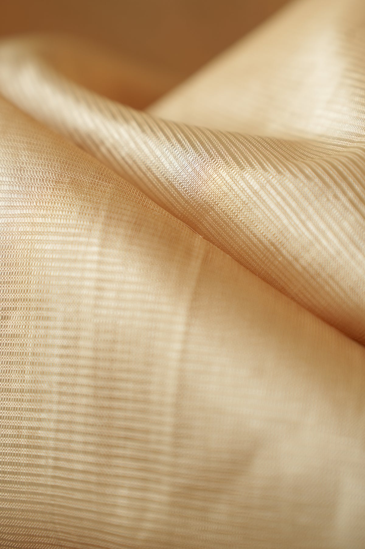 Sand Beige with Black Border Mangalagiri Silk Cotton Saree
