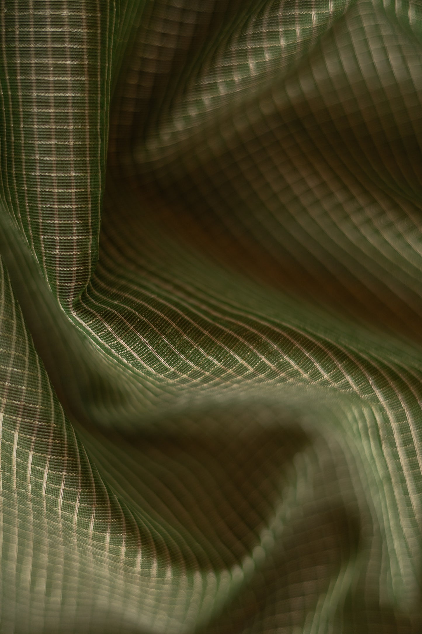 Olive Green Silk Cotton with All Over Silver Small Checks and Striped Pallu Saree