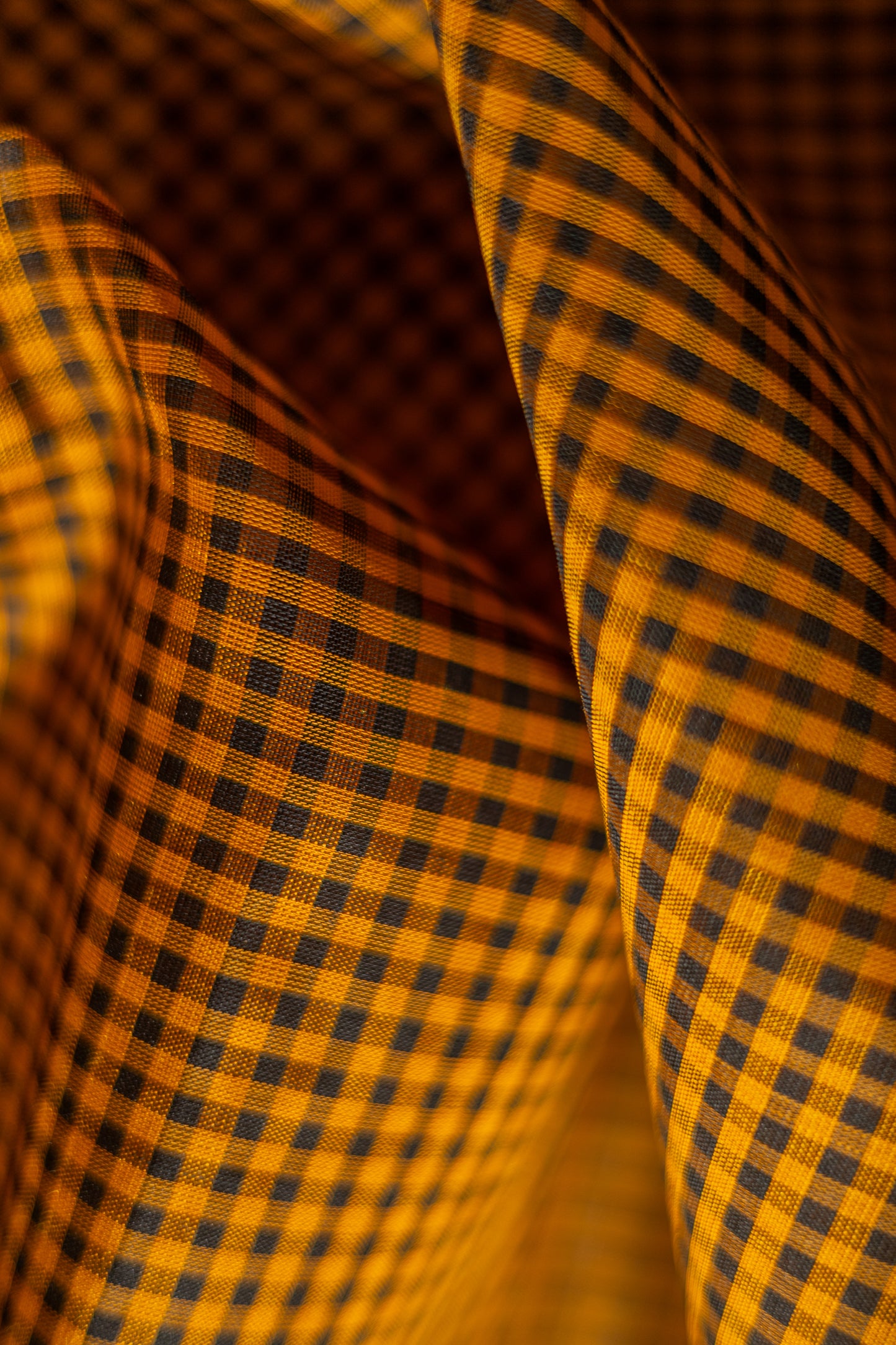 Mustard and Black Silk Cotton All Over Small Checks with Big Border Saree
