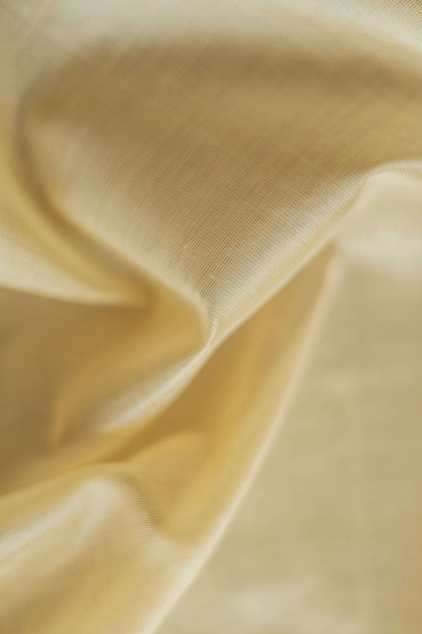 Off White Silk Cotton with Traditional Border Saree