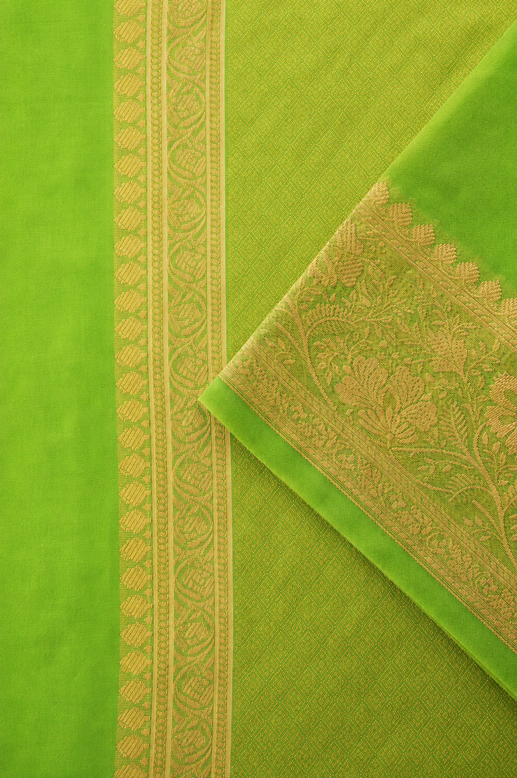 Banaras Organza Silk Saree in Vibrant Parrot Green