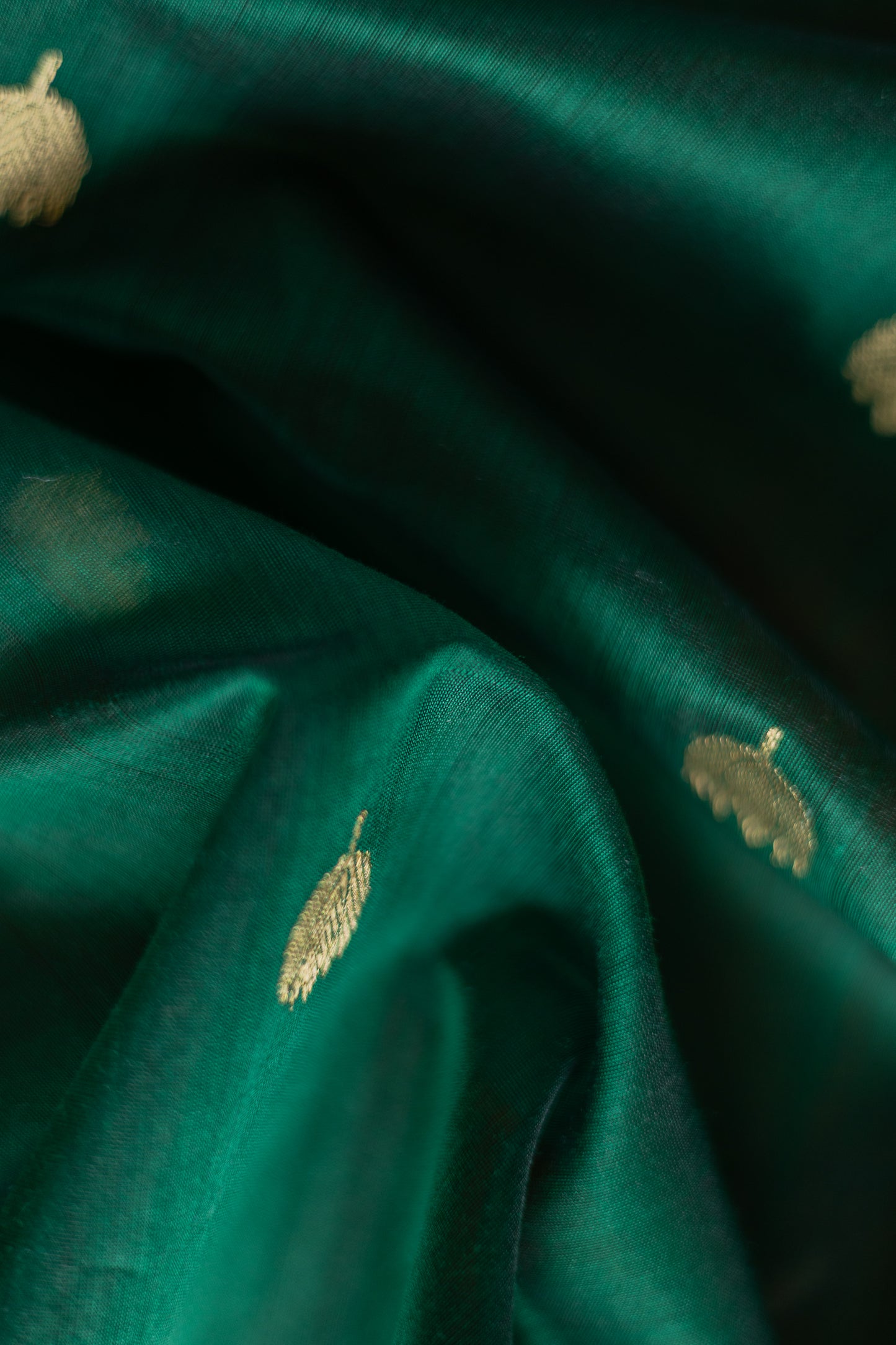 Green Chanderi Silk Cotton with Gold Lotus Motif and Thin Red Border Saree