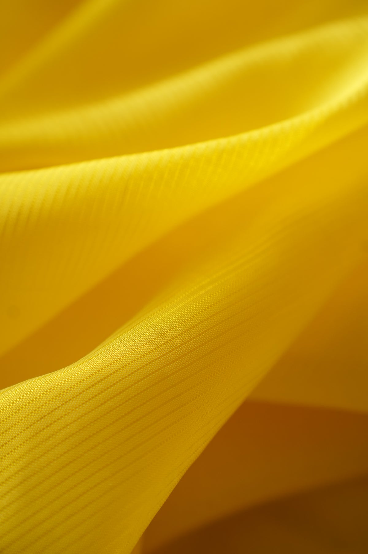 Light Yellow Mangalagiri Silk Cotton with Tender Green and Silver Zari Border Saree