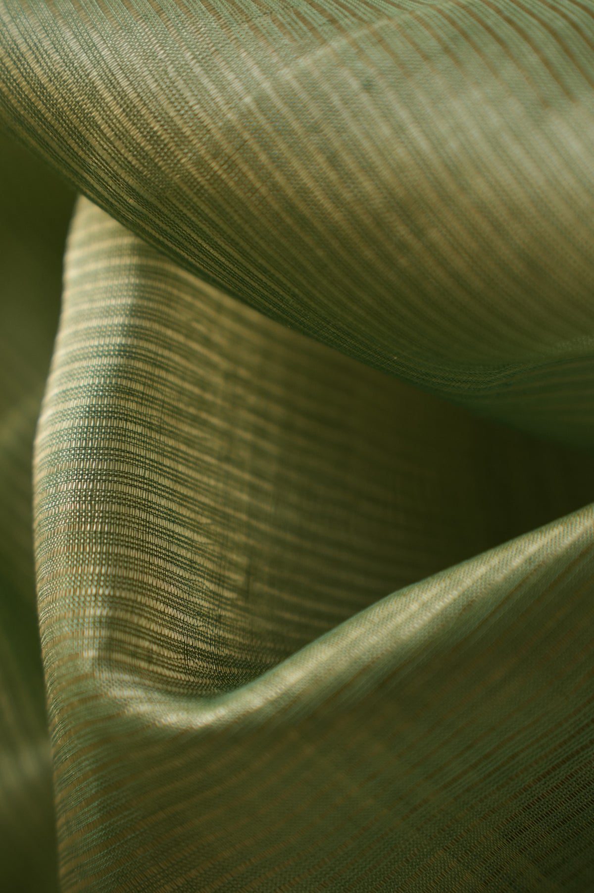 Pastel Green Mangalagiri Silk Cotton with Gold Zari Border Saree