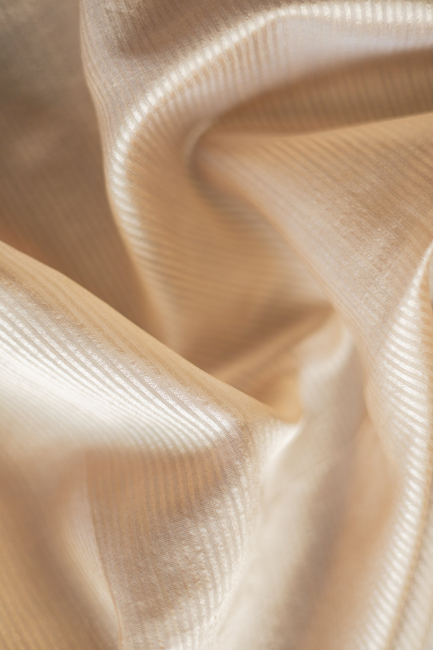 Beige Tussar Silk Cotton Striped with Big Border Saree