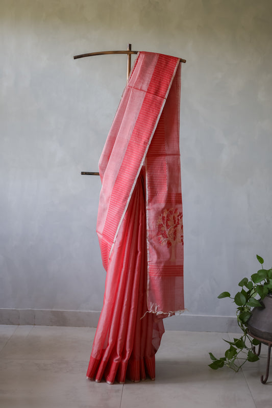 Light Red Silk Cotton Zari Line Border Tree Motif Pallu Saree