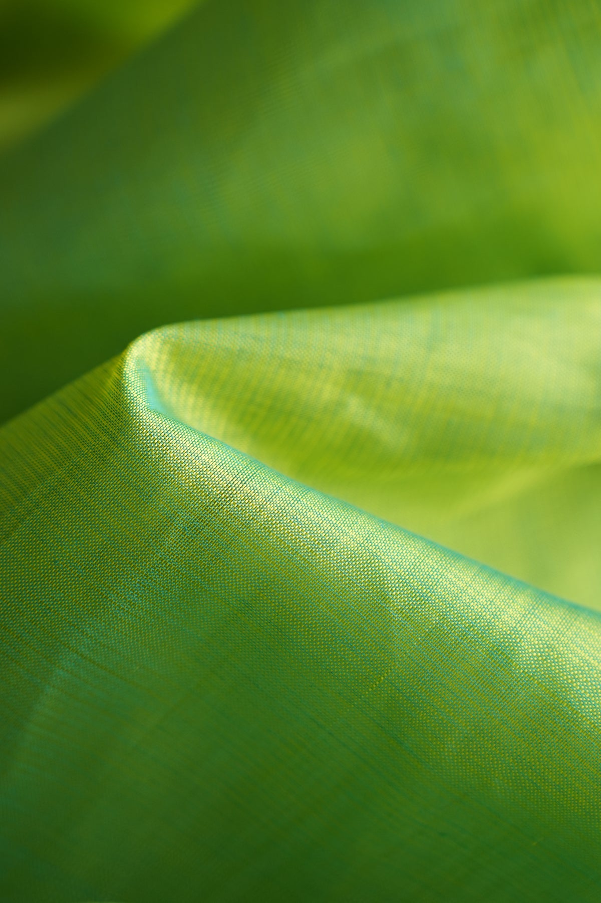 Tender Green Plain Mangalagiri Silk Cotton Saree