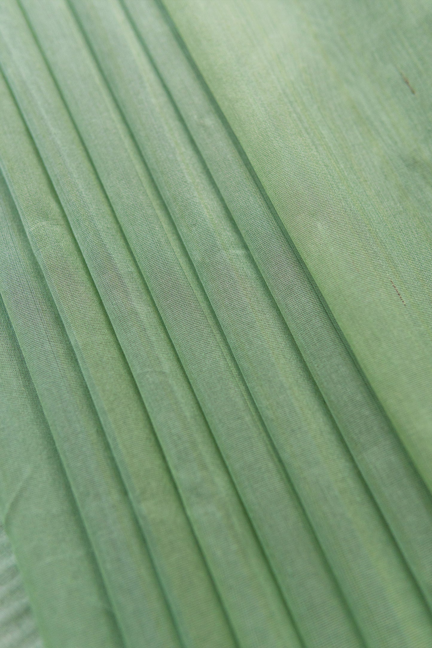 Green Silk Cotton with Triangle Jala Border Saree