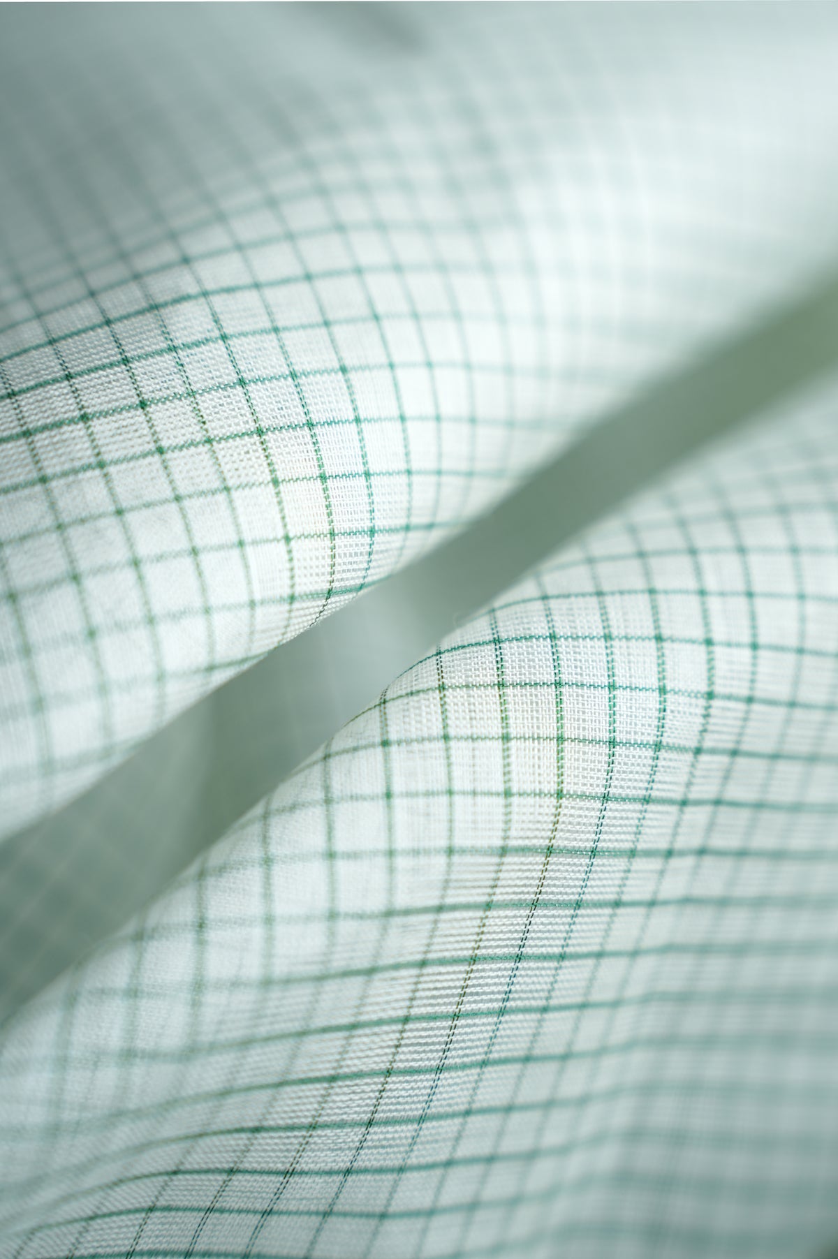 Half White Checked Sari with Green and Silver Zari Border Saree
