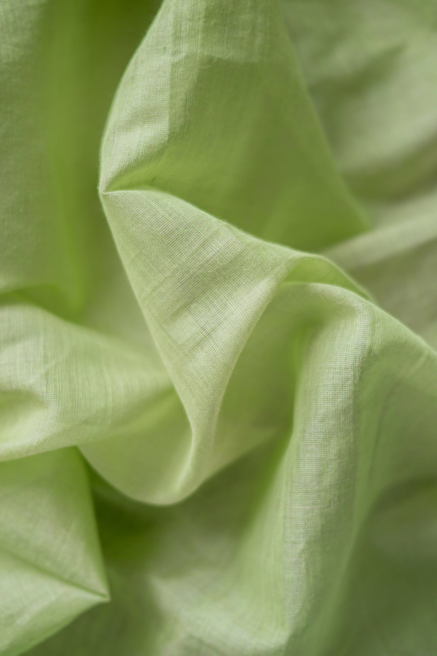 Light Green Silk Tissue Khadi with Dobby Border Saree