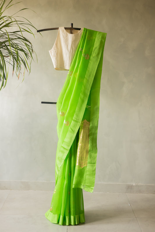 Bright Parrot Green Organza with Silk Border Saree