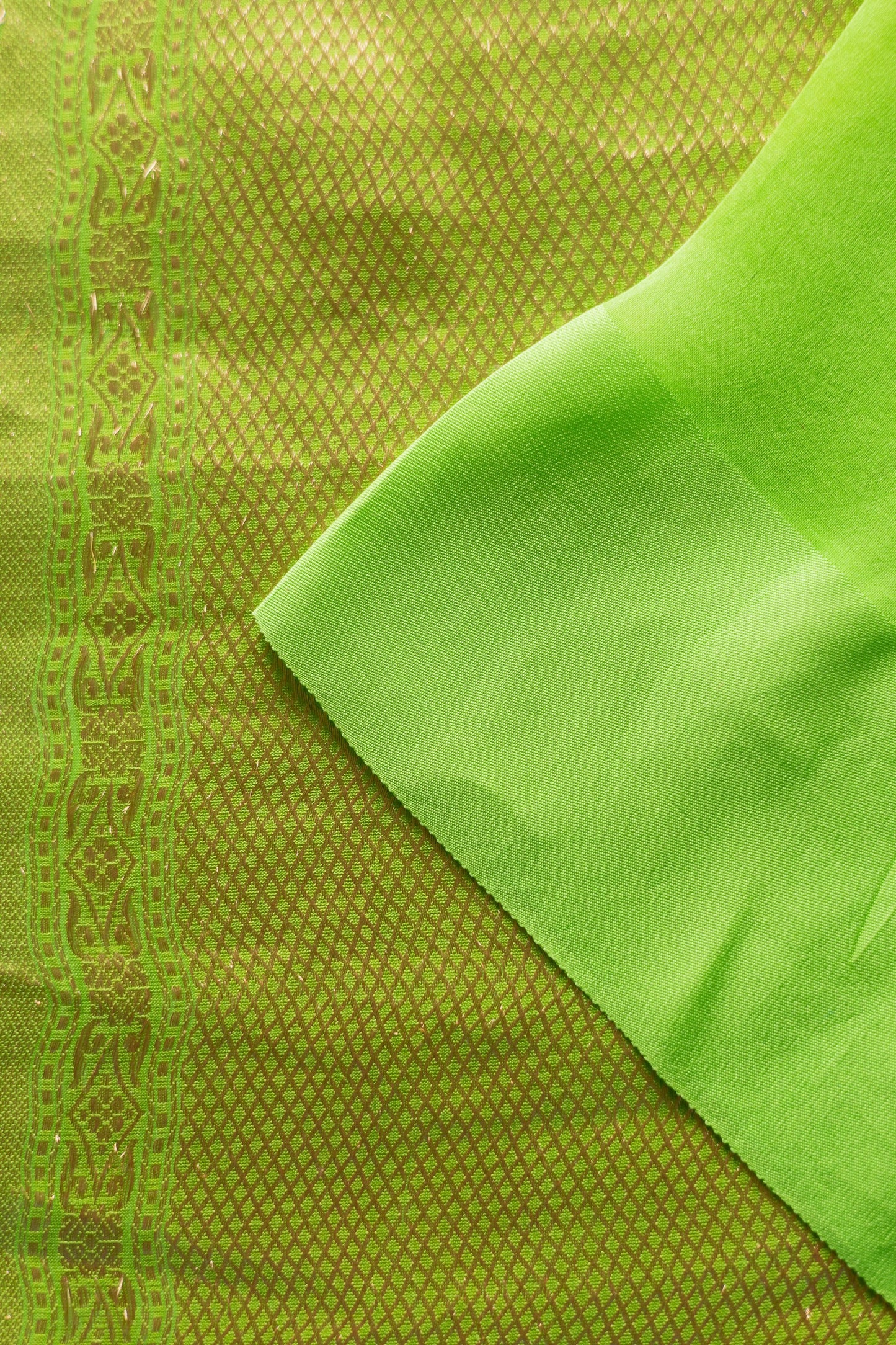 Bright Parrot Green Organza with Silk Border Saree