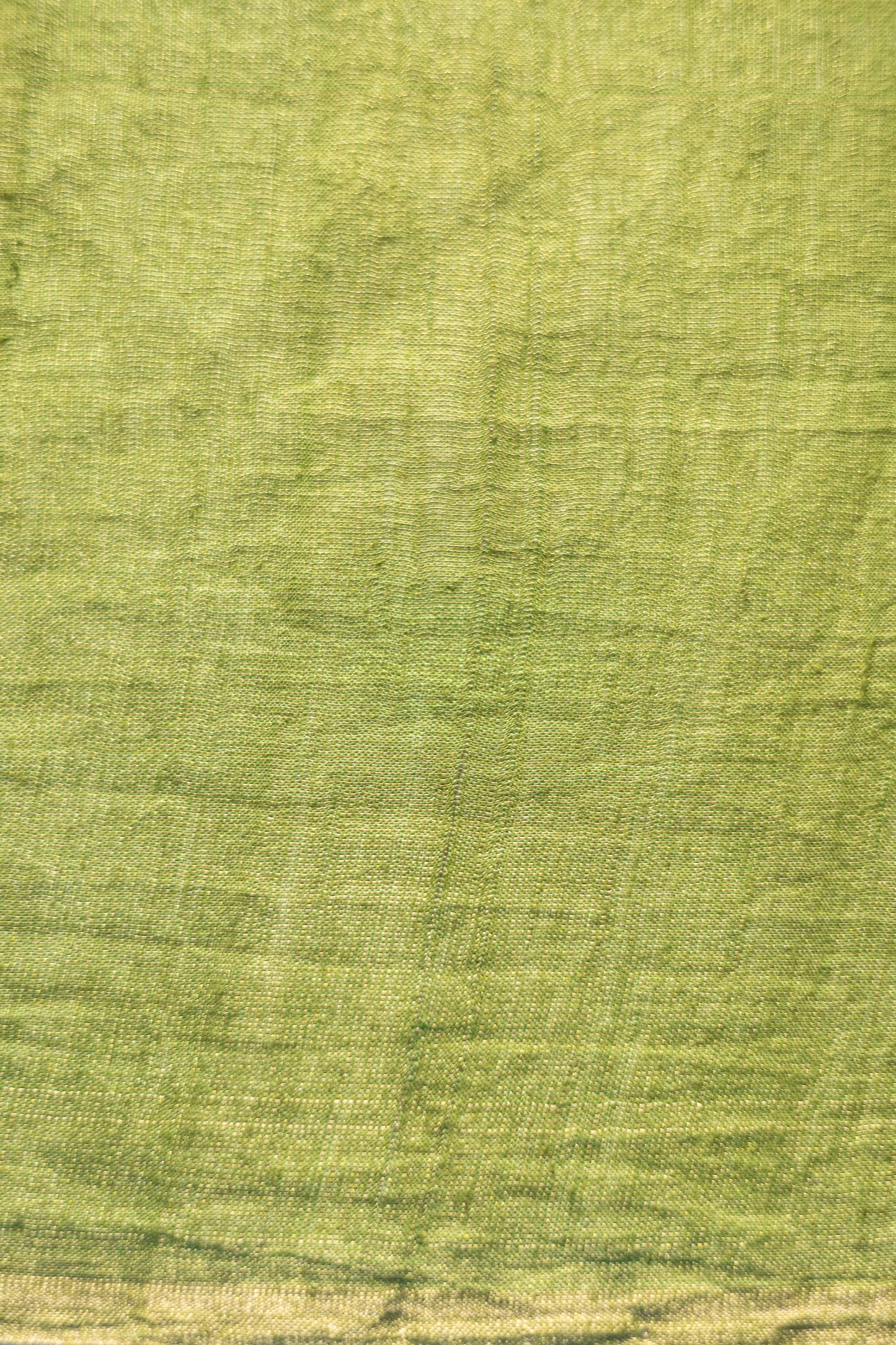 Parrot Green Tussar with Green and Gold Triangle Woven Motif Saree