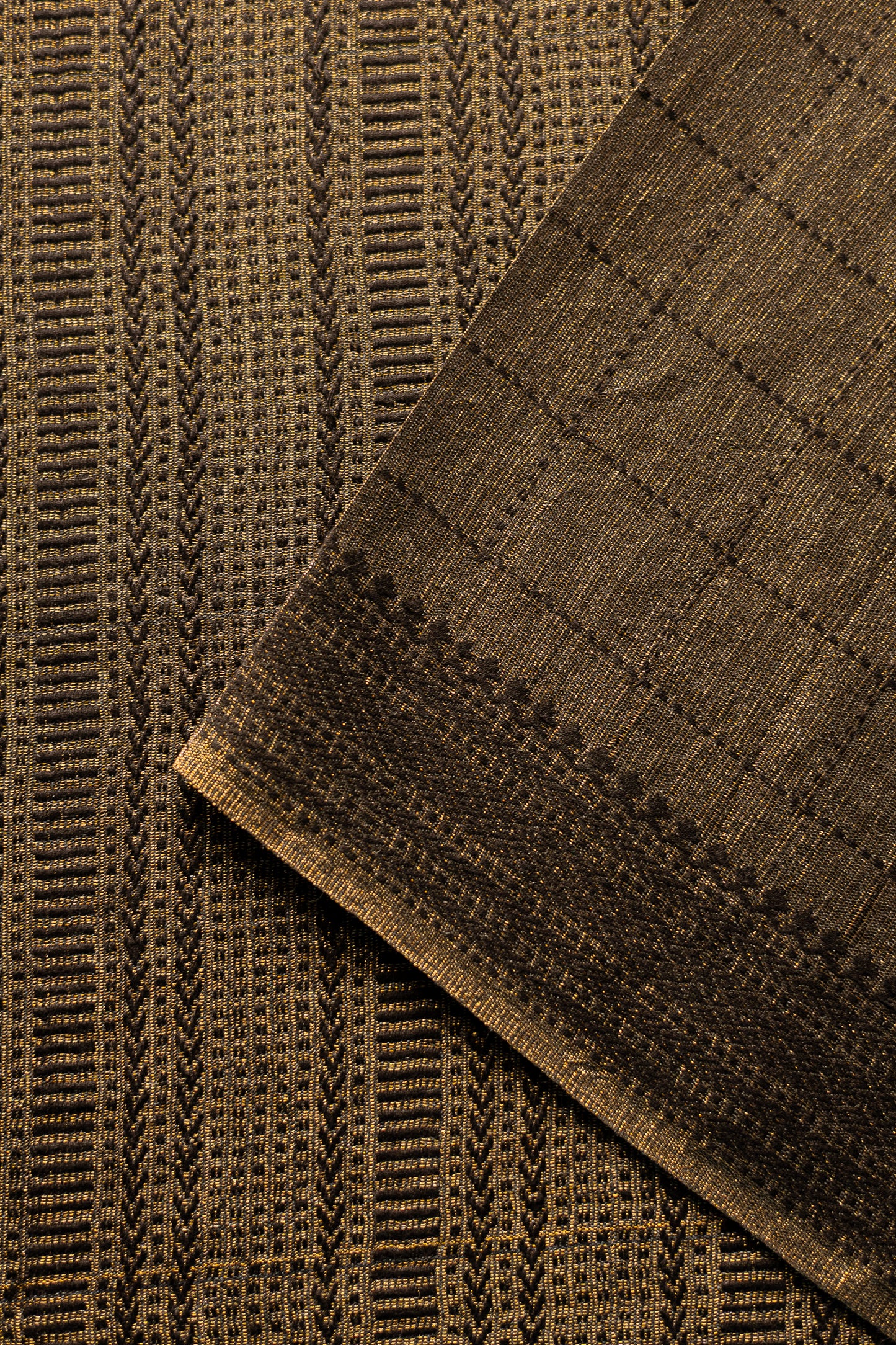 Black and Gold Tussar Muga with Black Checks Woven Saree