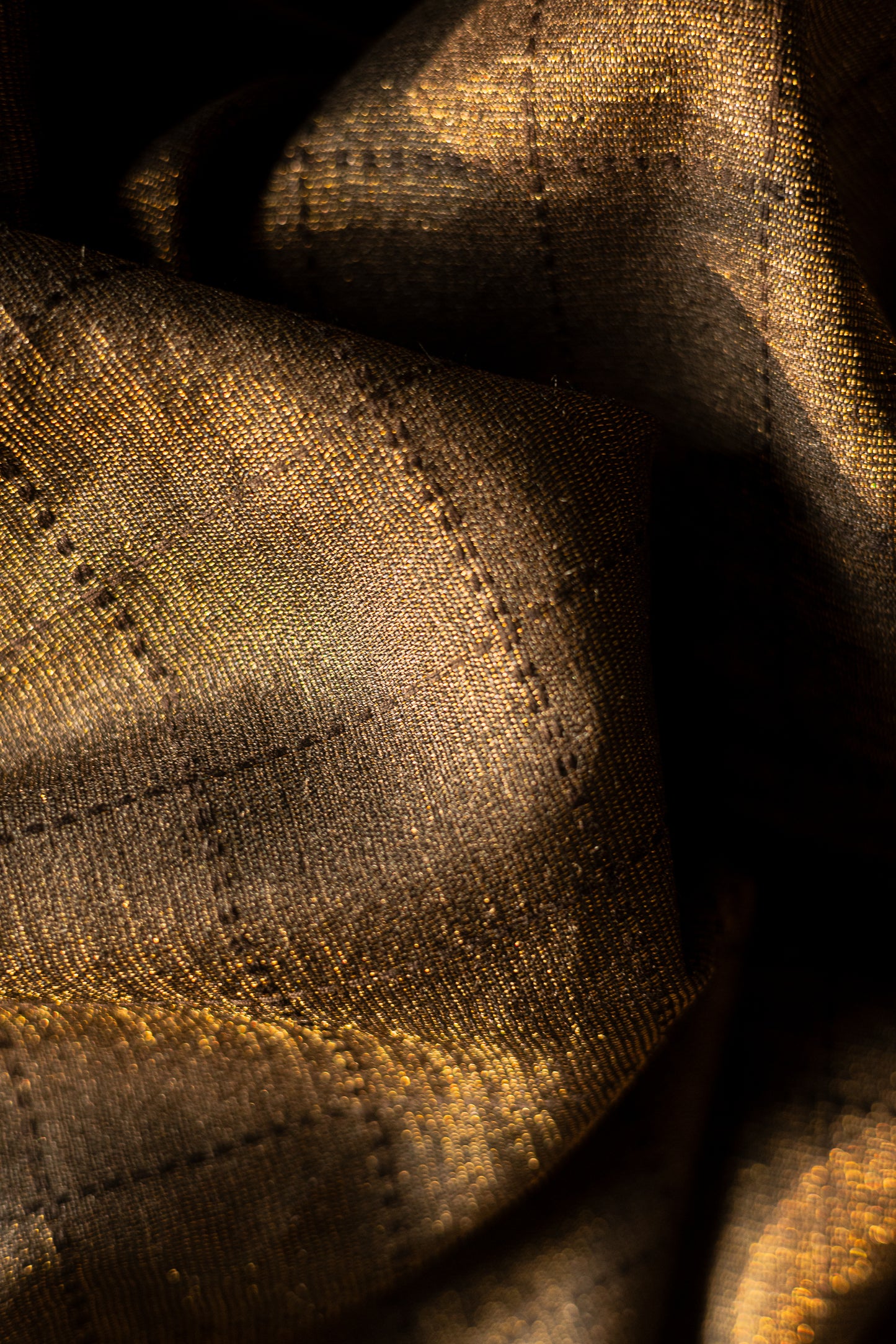Black and Gold Tussar Muga with Black Checks Woven Saree