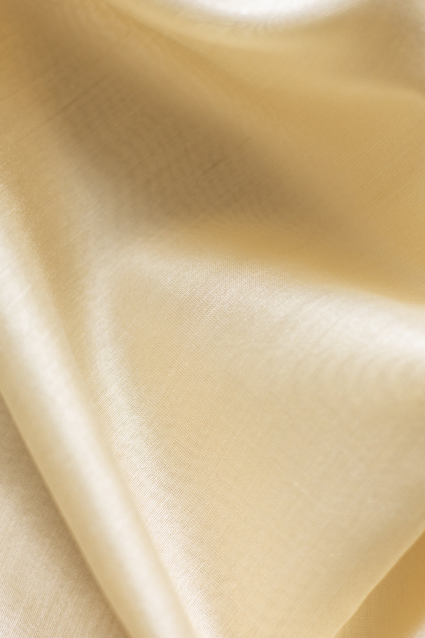 Off White with Beige  Border and Striped pallu saree