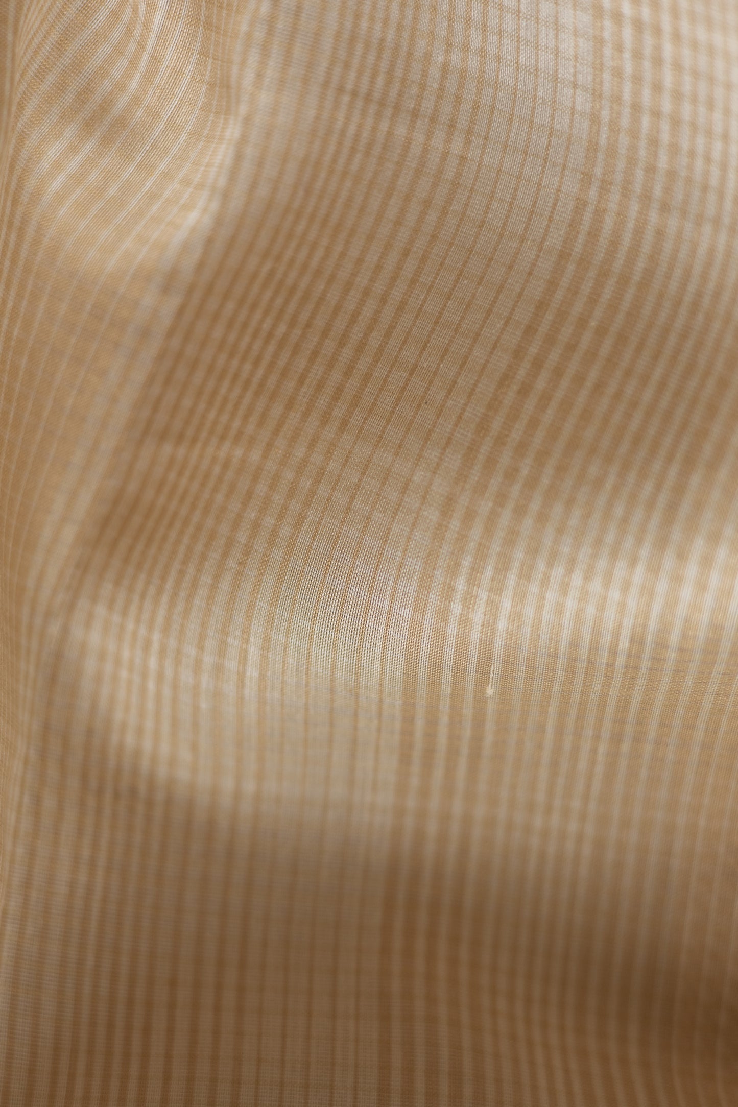 Off-White Maheshwari Silk Cotton with Beige Stripped Pallu Saree