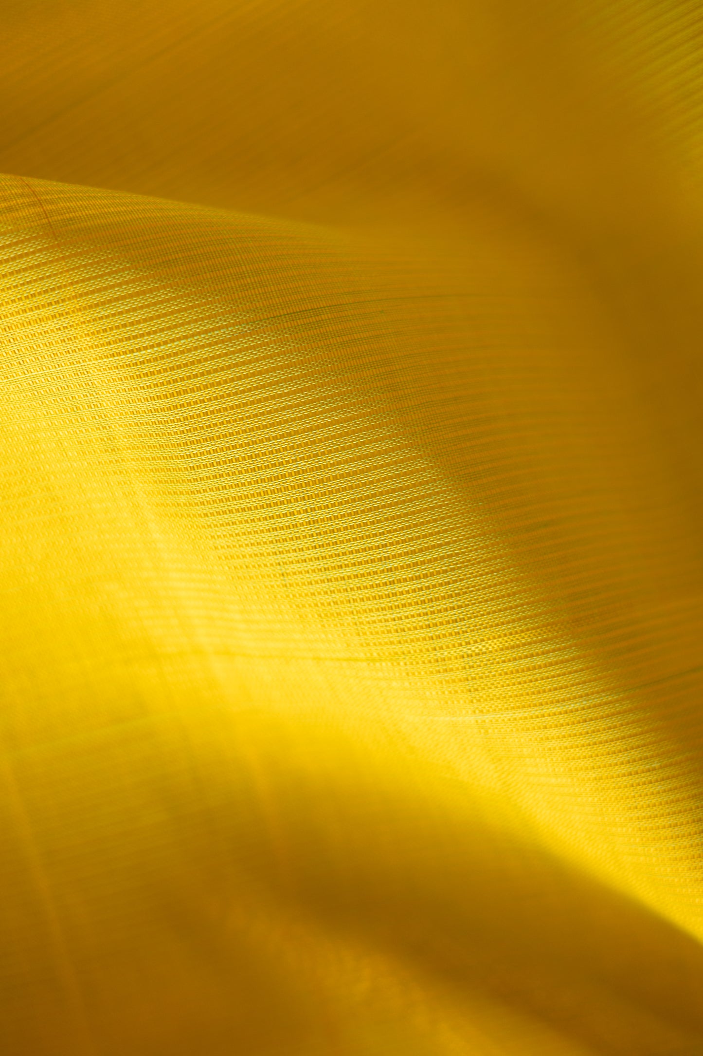Yellow with Green Border Mangalagiri Silk Cotton Saree