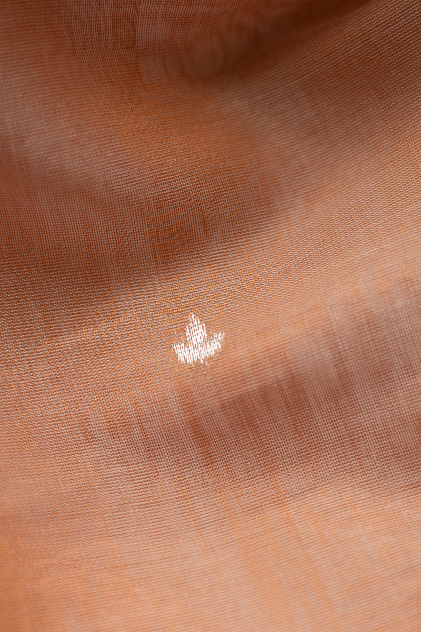 Light Brown Silk Cotton Autum Leaf Motif Saree