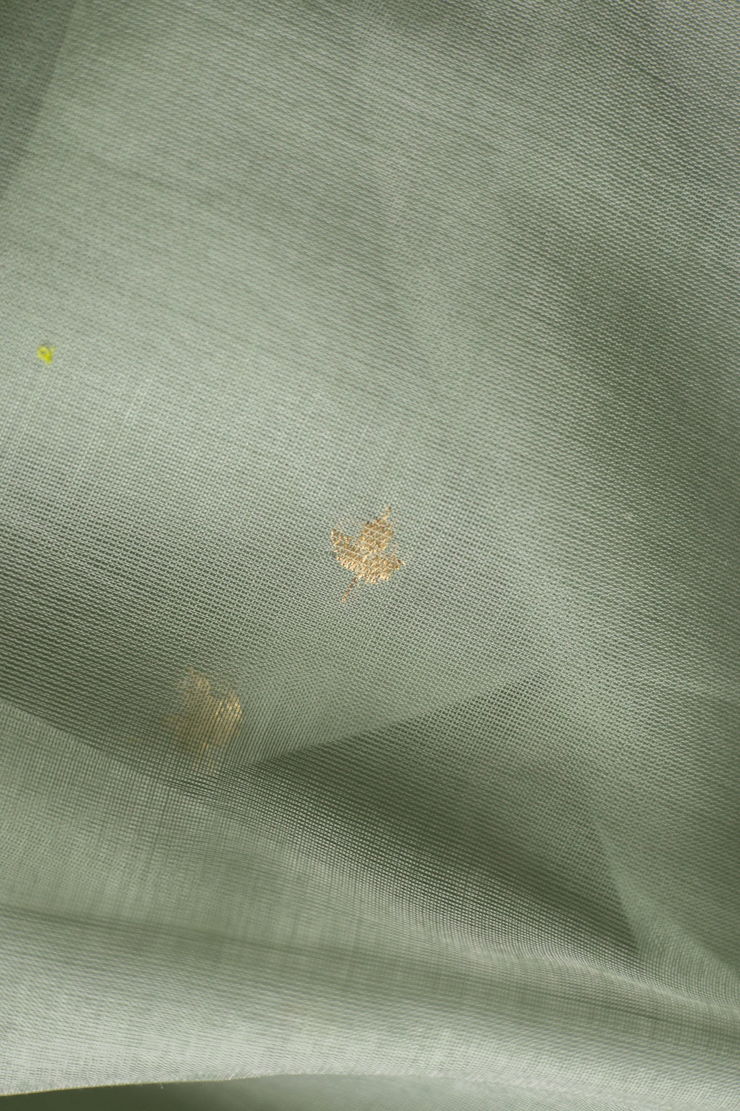 Greyish Green Silk Cotton Autum Leaf Motif Saree