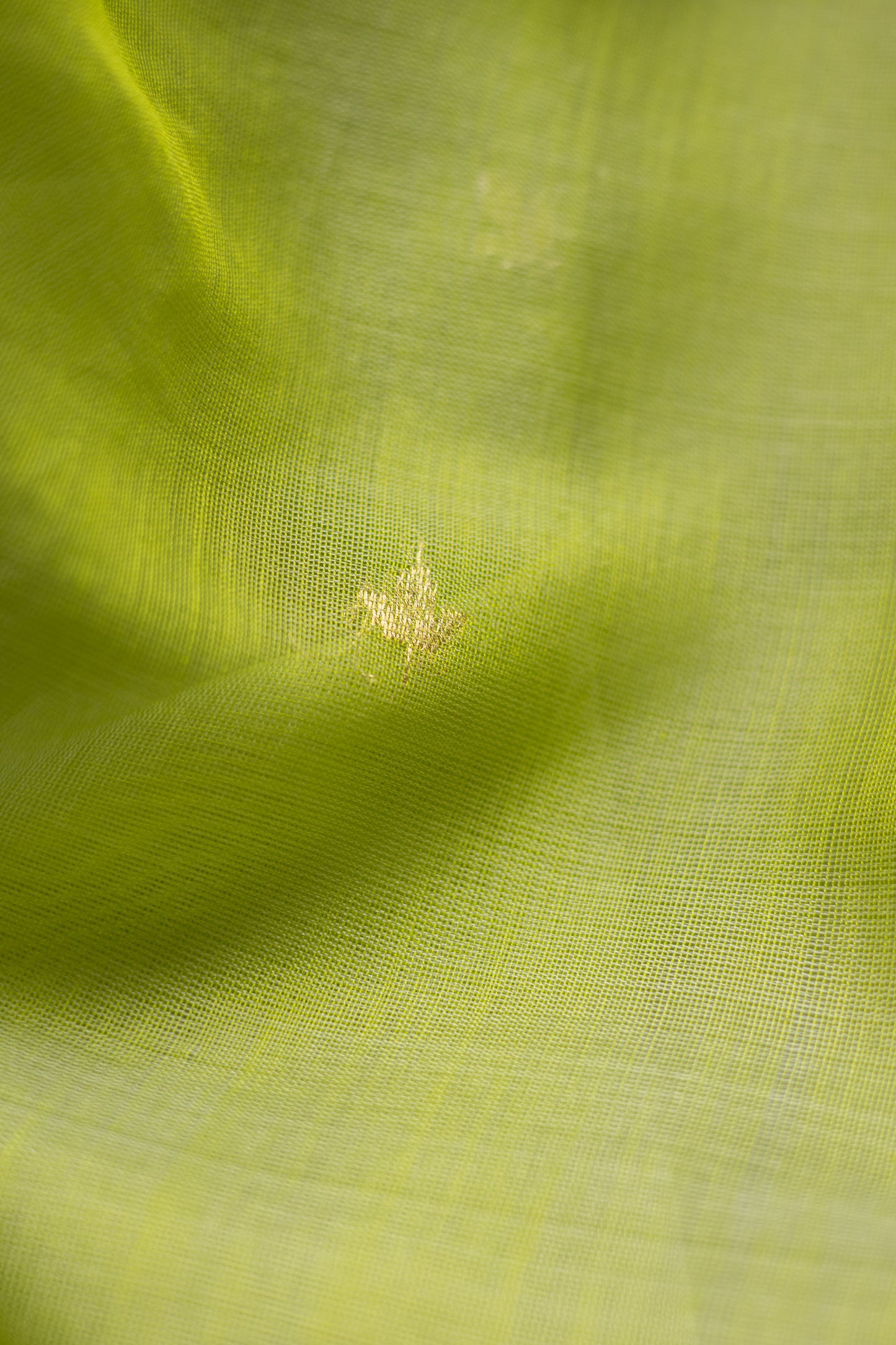 Green Silk Cotton Autum Leaf Motif Saree