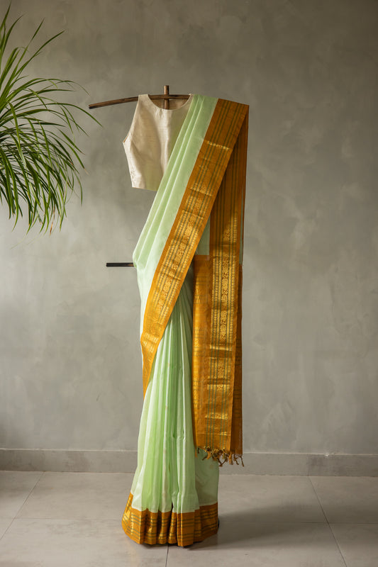 Pista Green Silk Cotton with Gold Motif and Traditional Border Saree