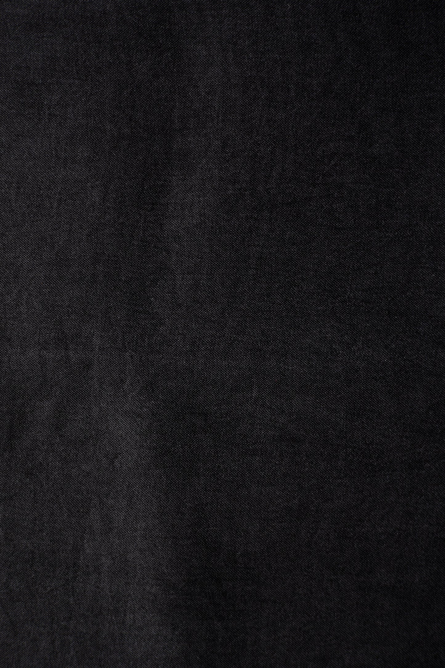 Black Leno Silk Organza Saree