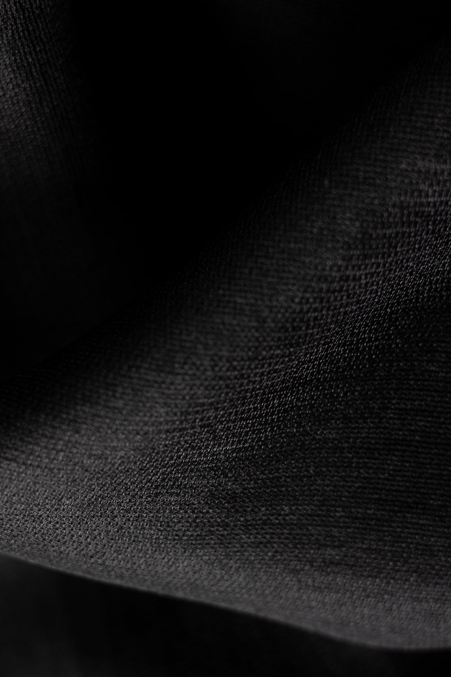 Black Leno Silk Organza Saree