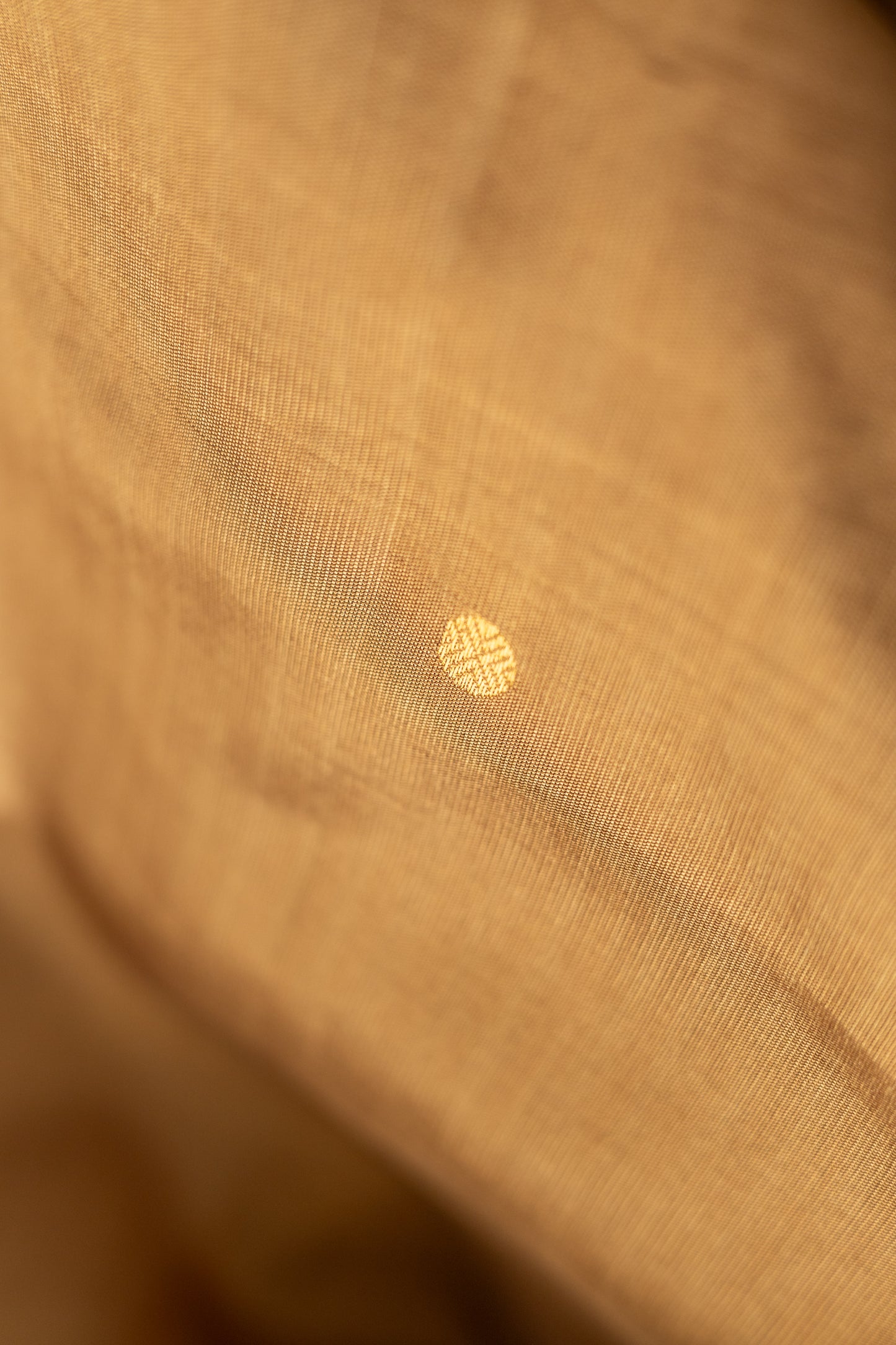 Light Brown Komarapalayam Silk with Rudraksham Motif Saree