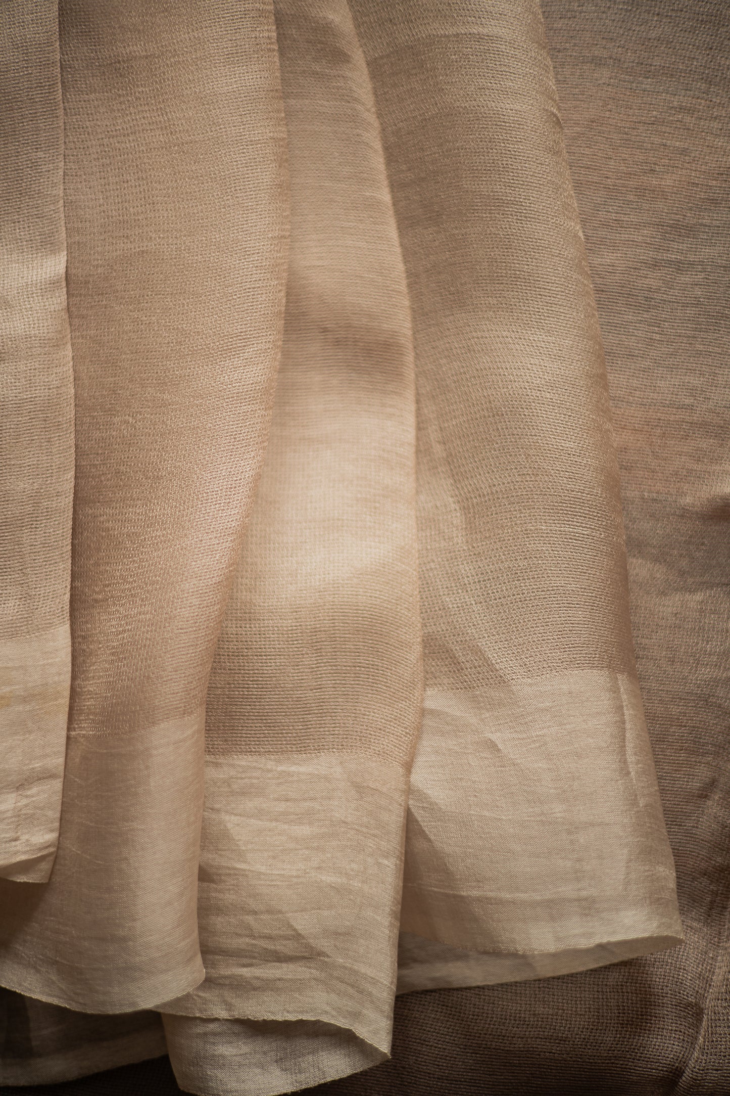 Beige Leno Silk Organza Saree