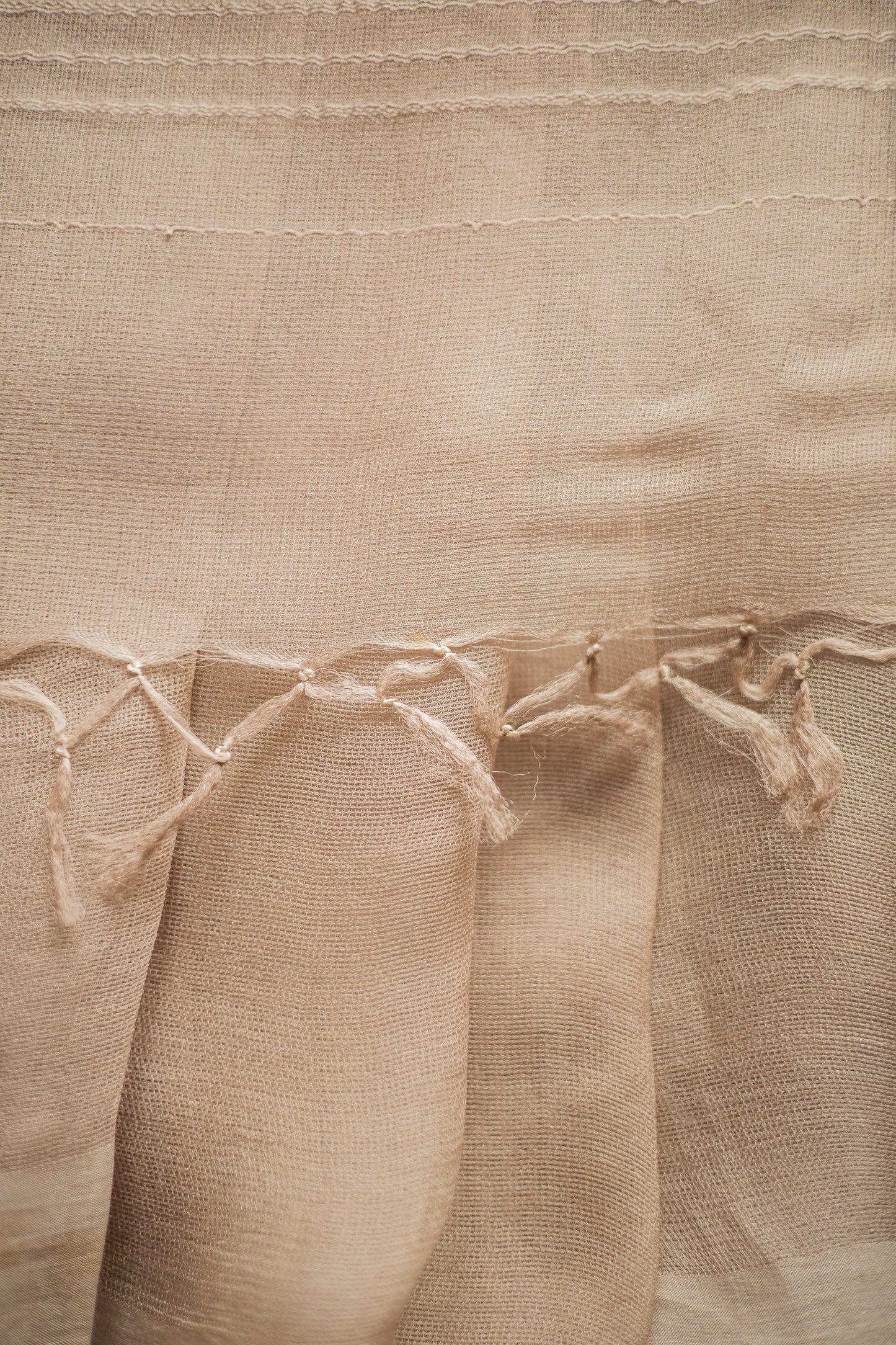 Beige Leno Silk Organza Saree