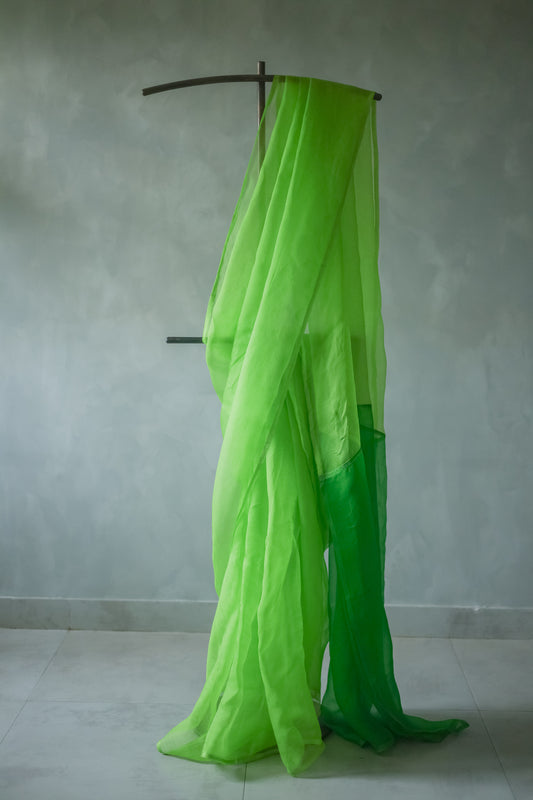 Mint Green Leno Silk Organza with Mid Green Pallu Saree